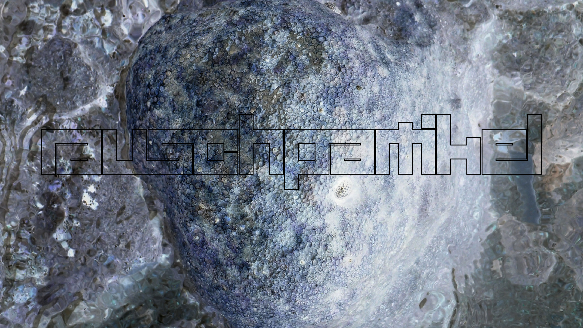 2022-04-25 Cas Abao (Foto)