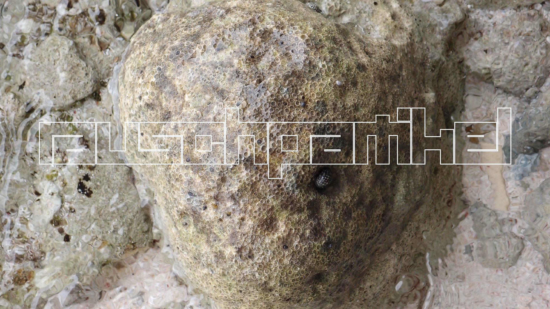 2022-04-25 Cas Abao (Foto)