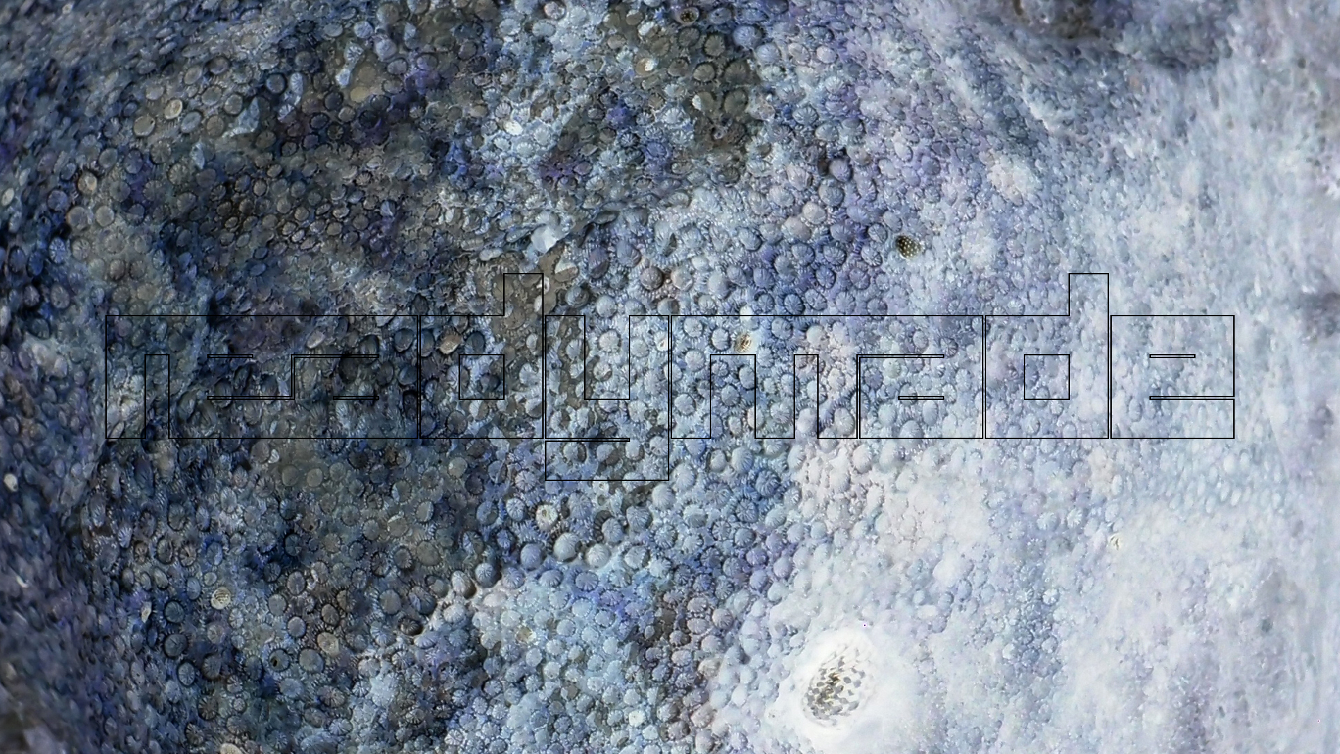 2022-04-25 Cas Abao (Foto)