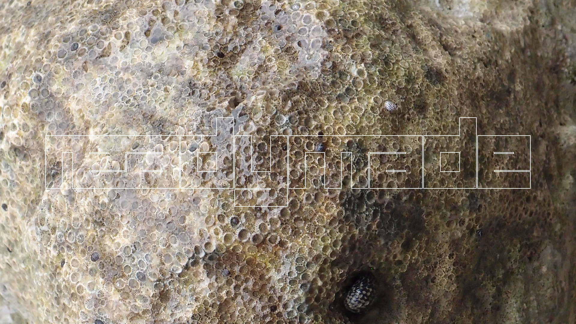 2022-04-25 Cas Abao (Foto)