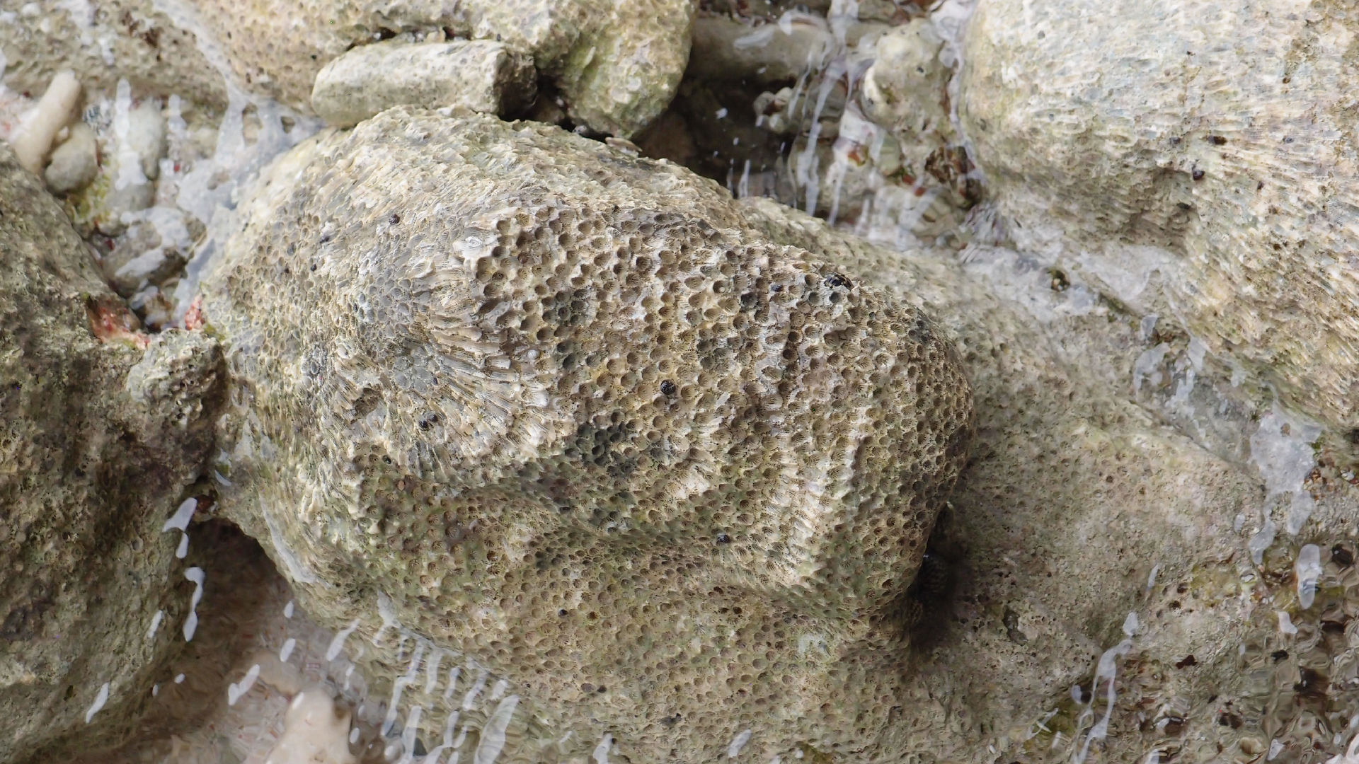 2022-04-25 Cas Abao (Foto)