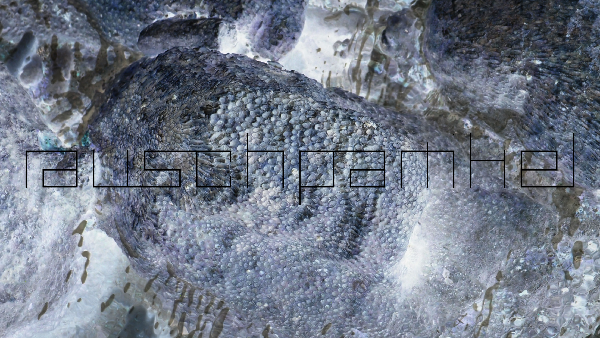 2022-04-25 Cas Abao (Foto)