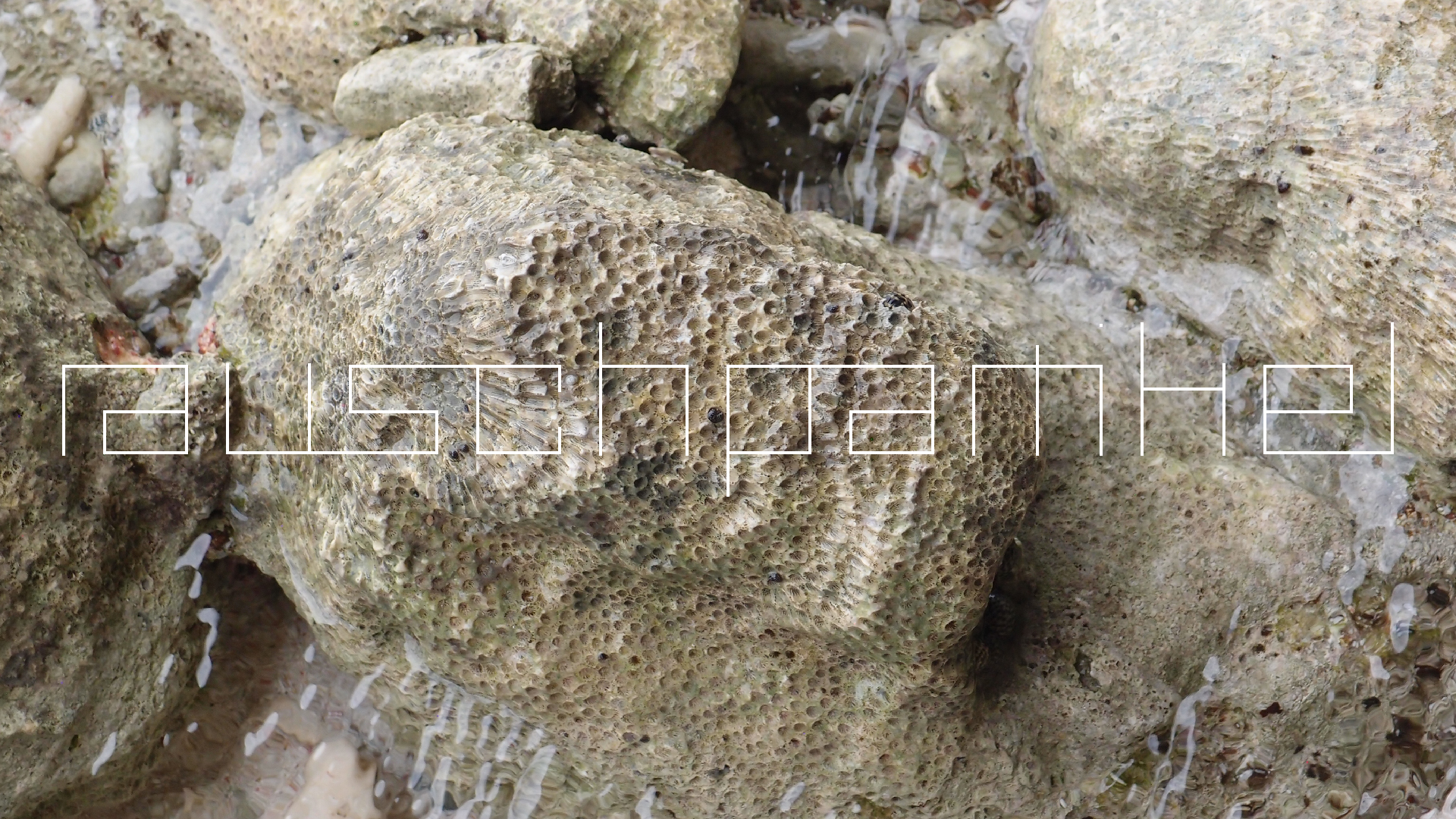 2022-04-25 Cas Abao (Foto)