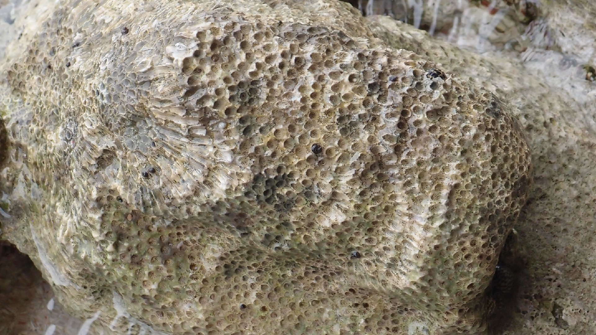 2022-04-25 Cas Abao (Foto)