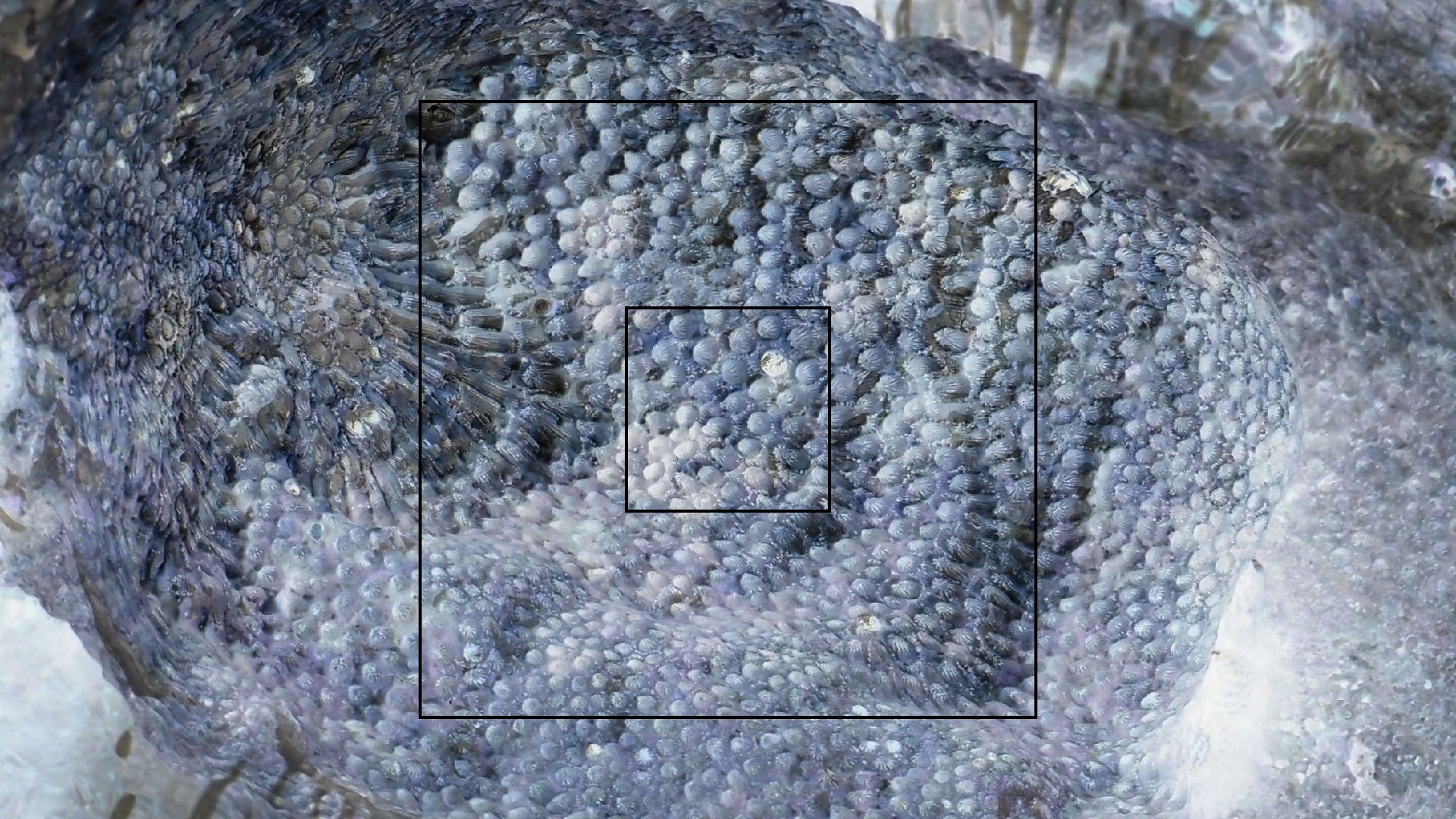 2022-04-25 Cas Abao (Foto)