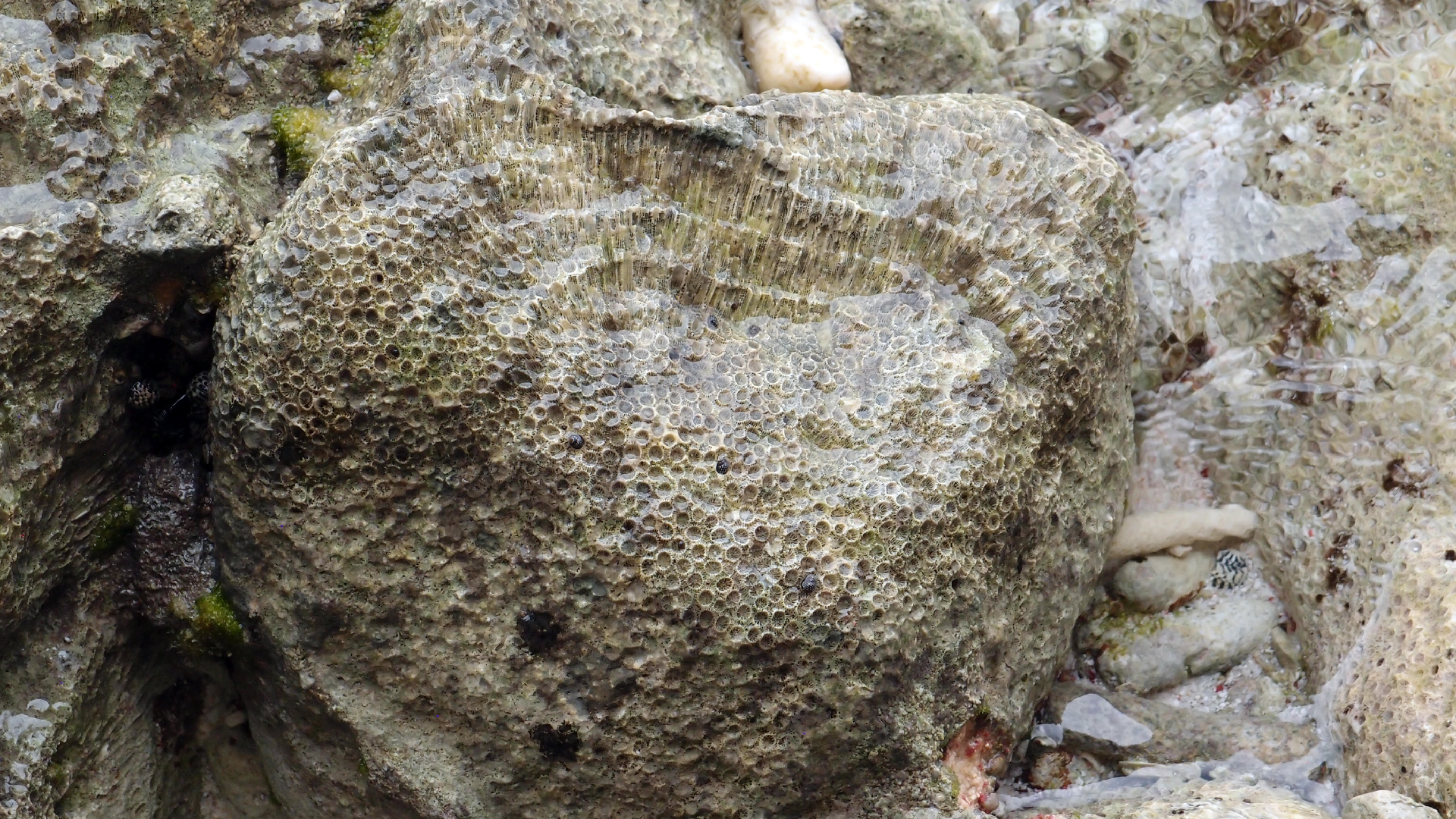 2022-04-25 Cas Abao (Foto)