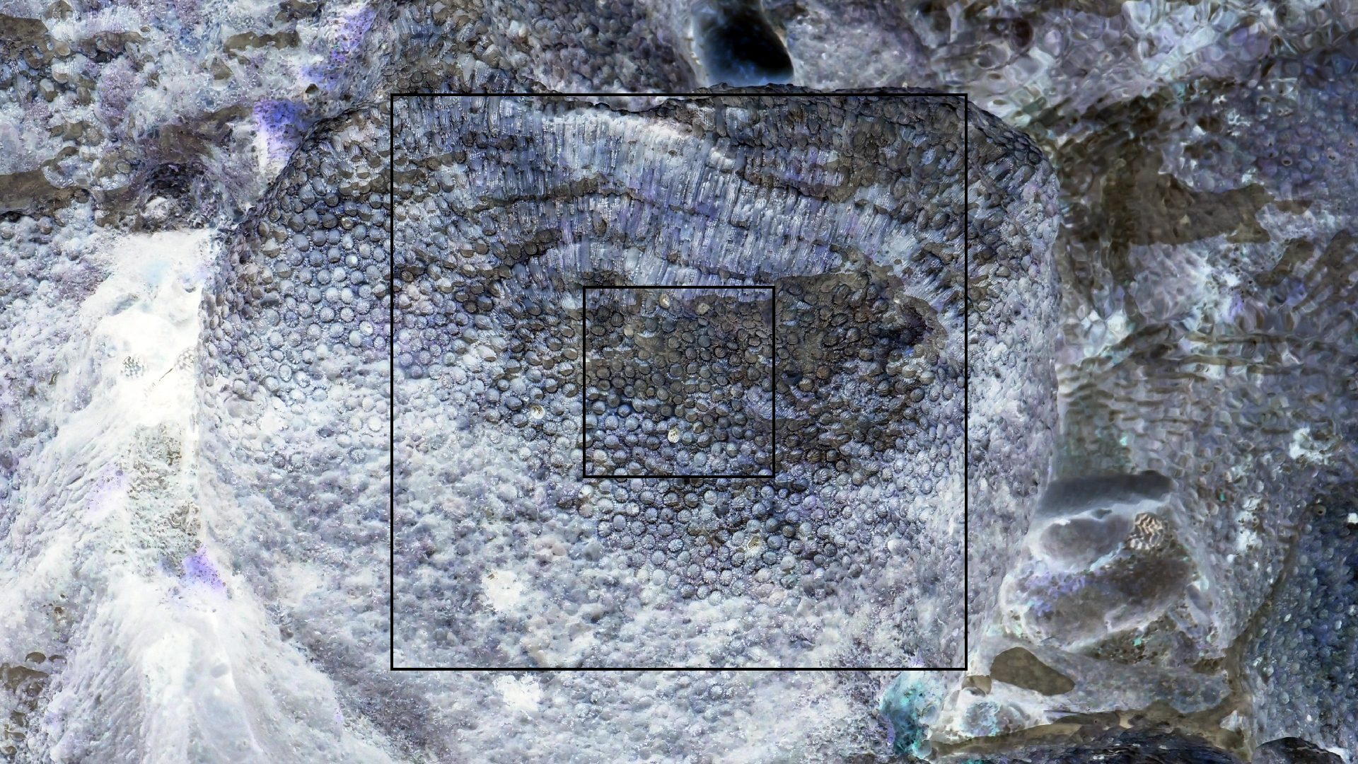 2022-04-25 Cas Abao (Foto)