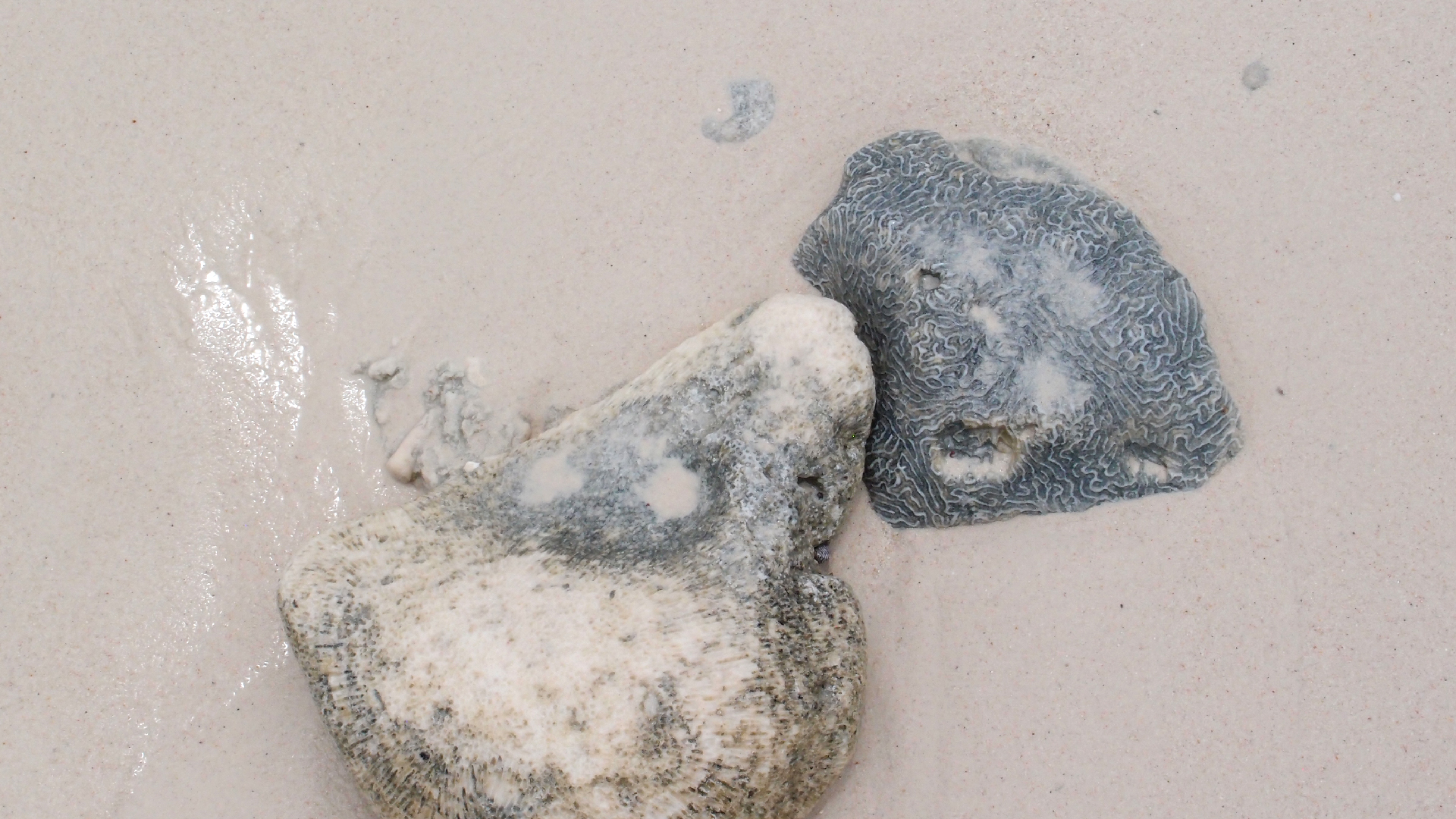 2022-04-25 Cas Abao (Foto)