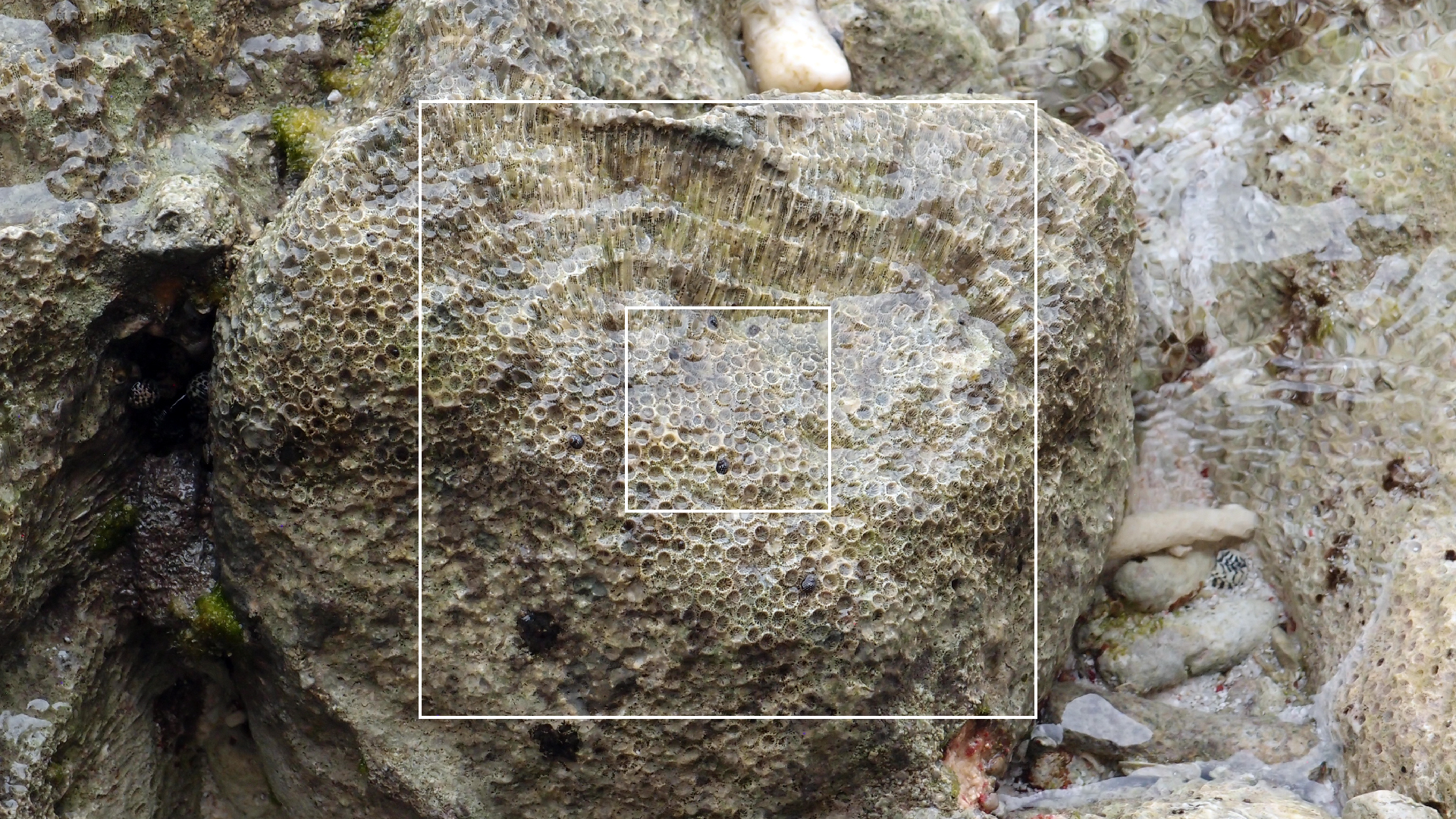 2022-04-25 Cas Abao (Foto)