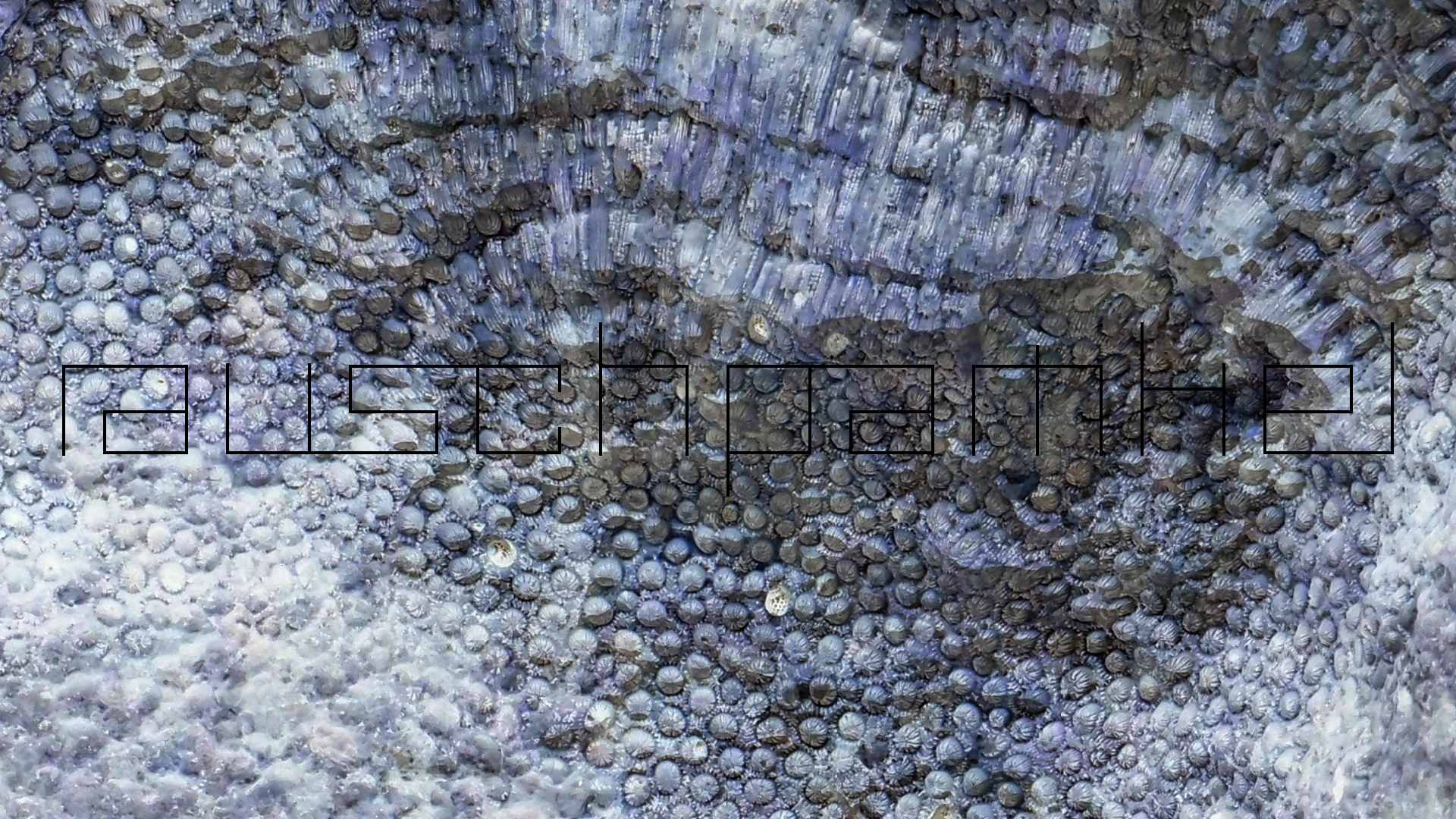 2022-04-25 Cas Abao (Foto)