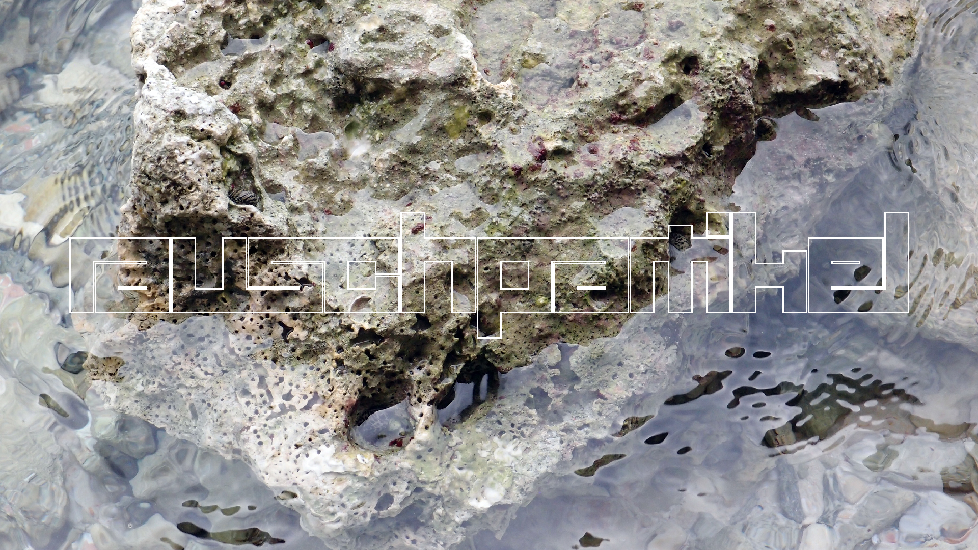 2022-04-25 Cas Abao (Foto)