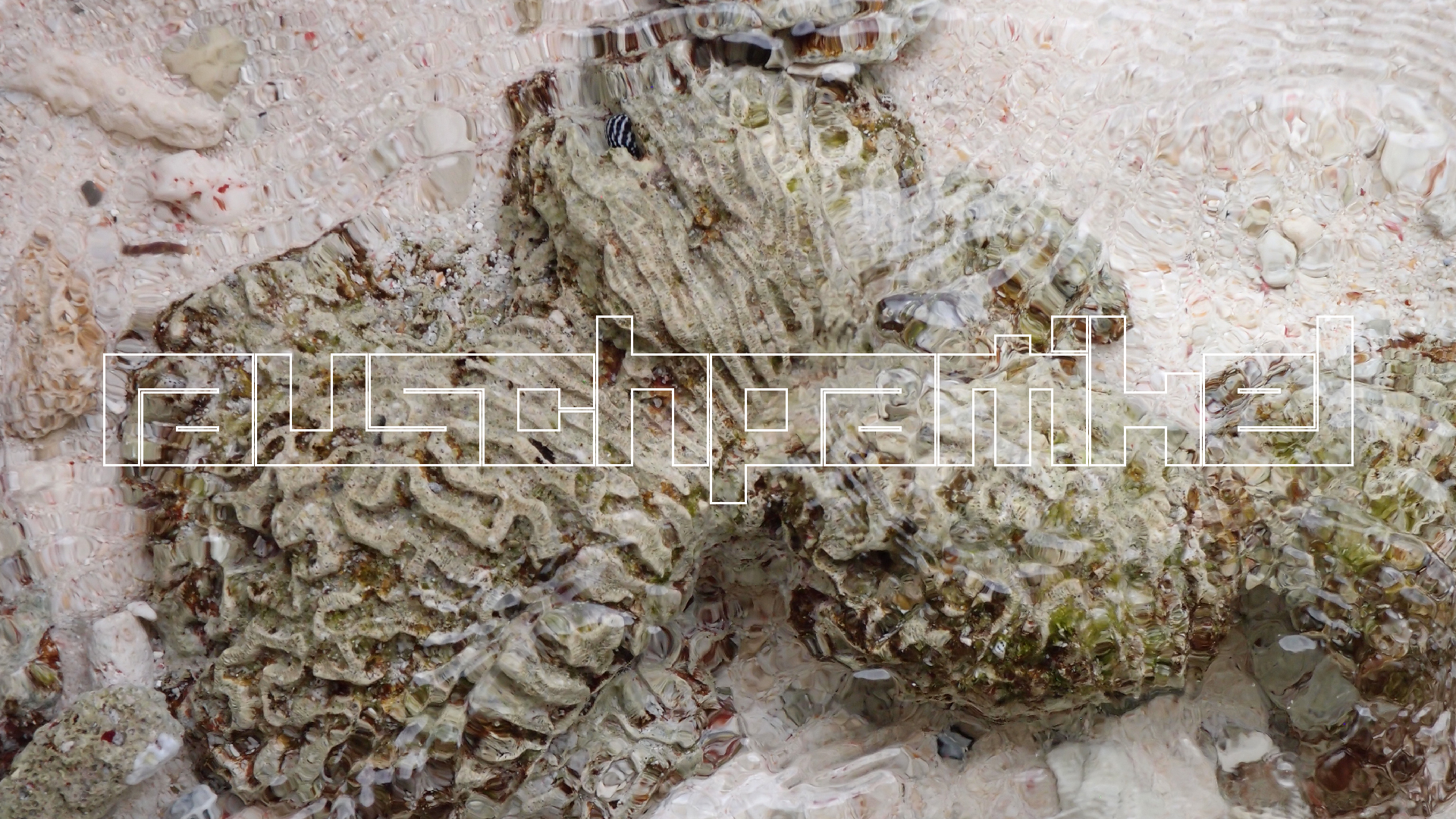 2022-04-25 Cas Abao (Foto)