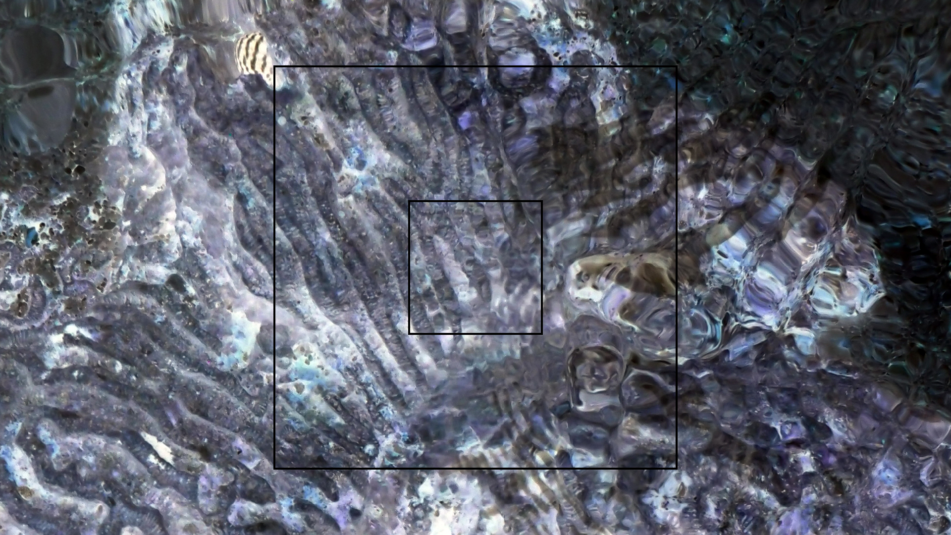 2022-04-25 Cas Abao (Foto)