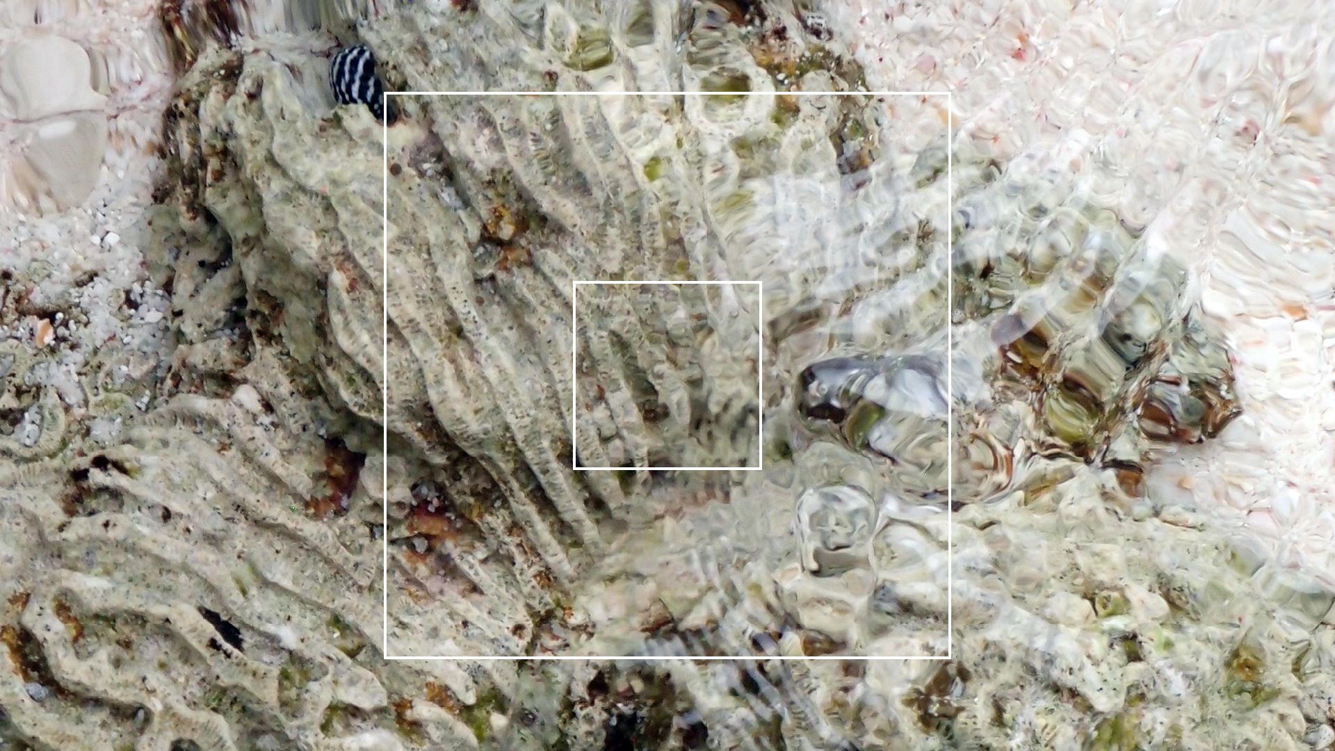 2022-04-25 Cas Abao (Foto)