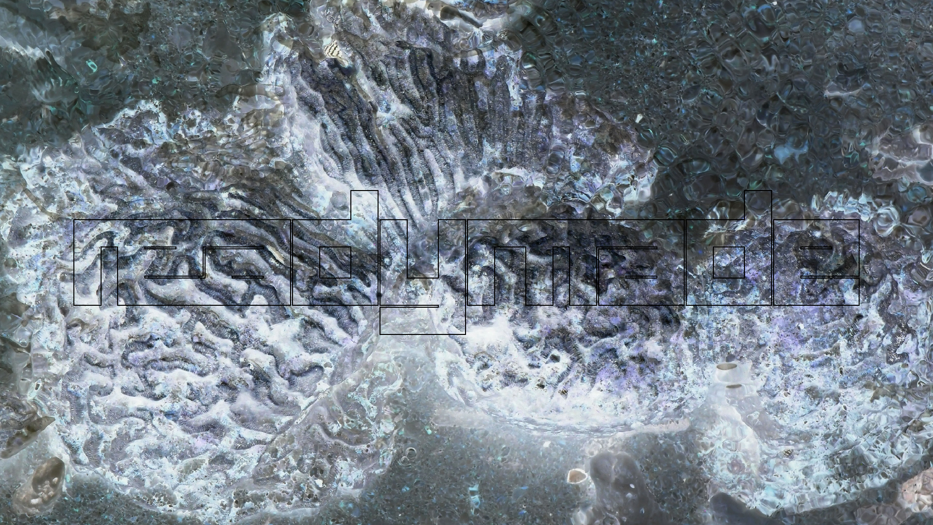 2022-04-25 Cas Abao (Foto)