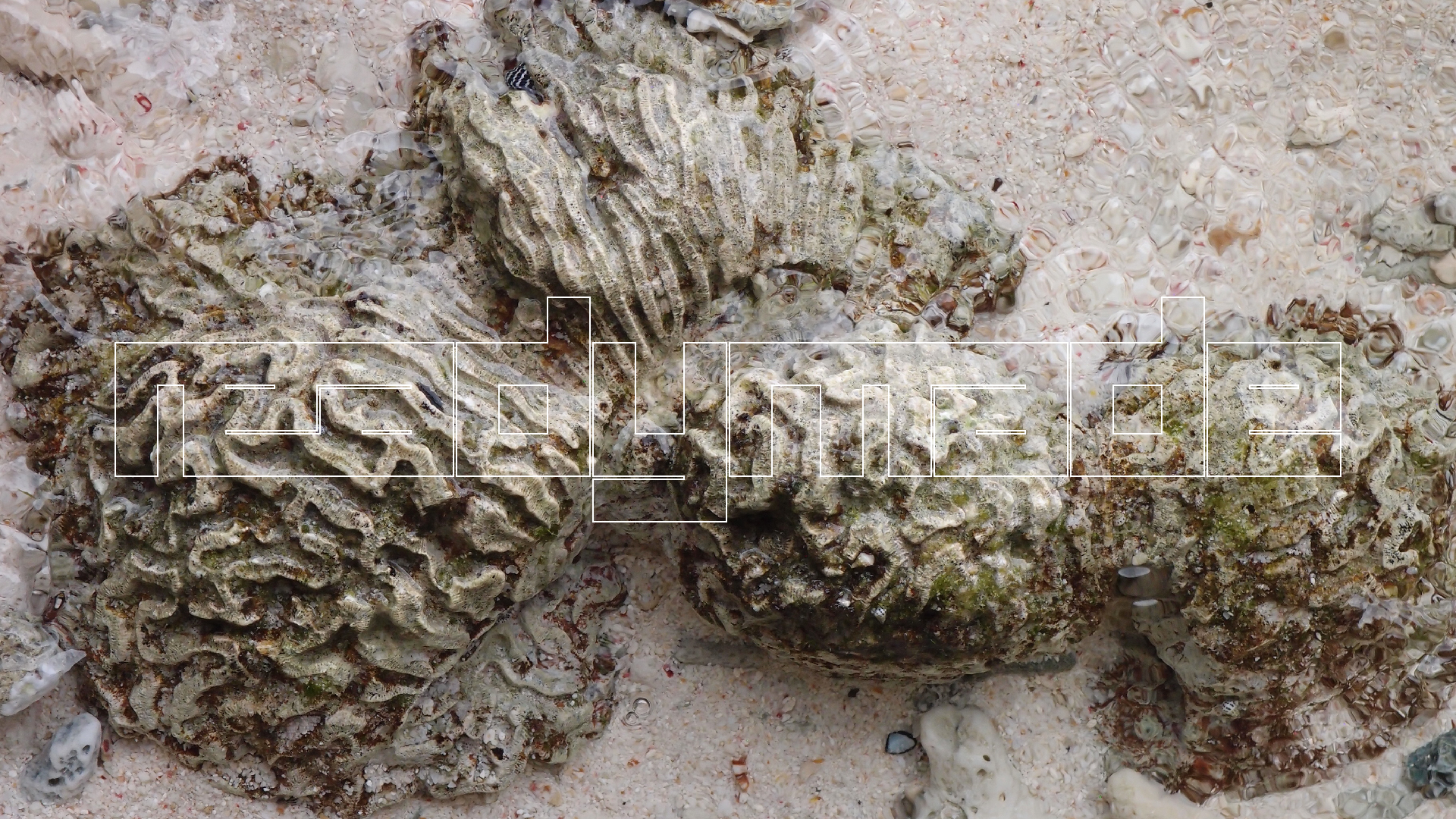 2022-04-25 Cas Abao (Foto)