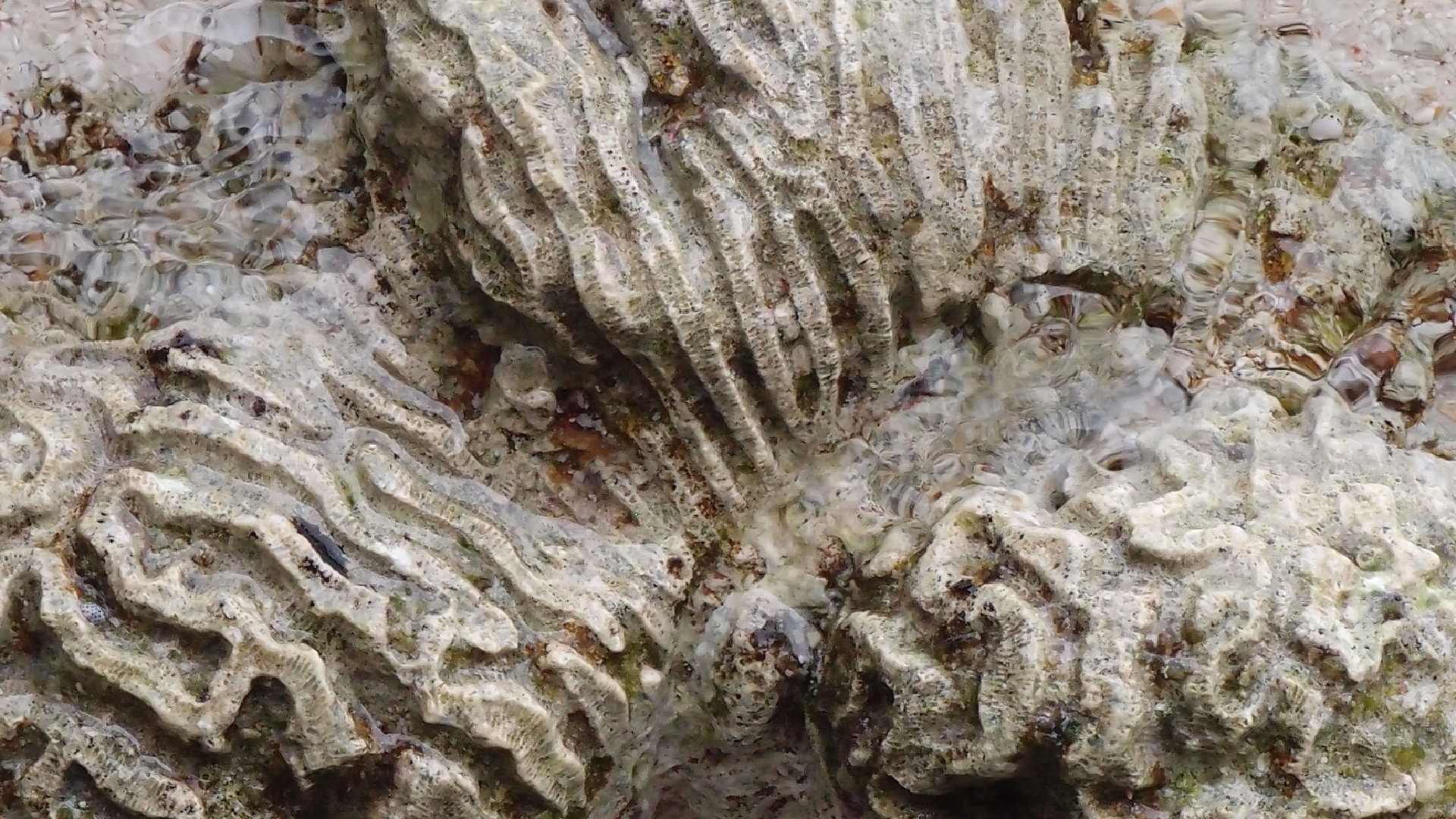 2022-04-25 Cas Abao (Foto)