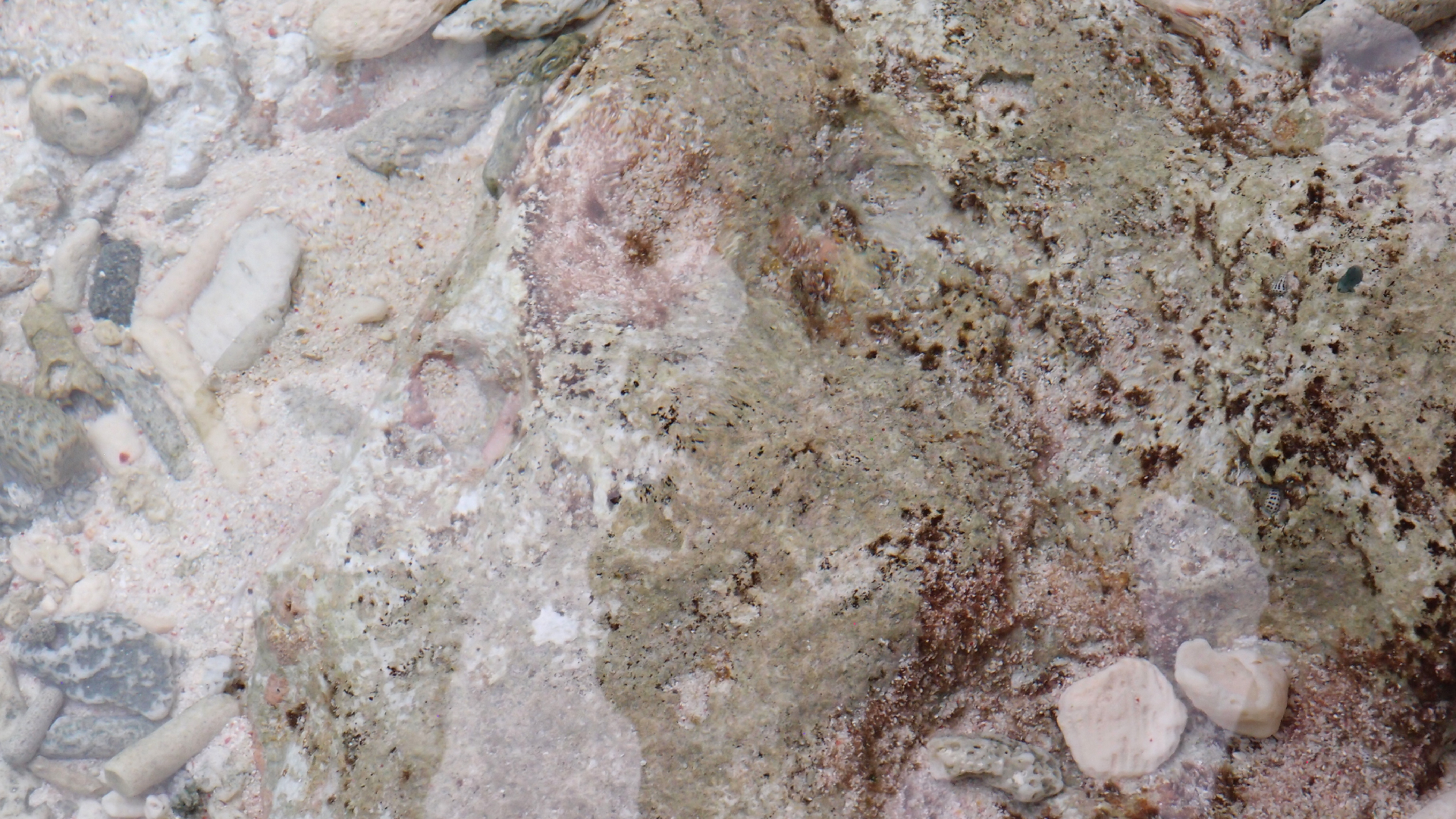 2022-04-25 Cas Abao (Foto)