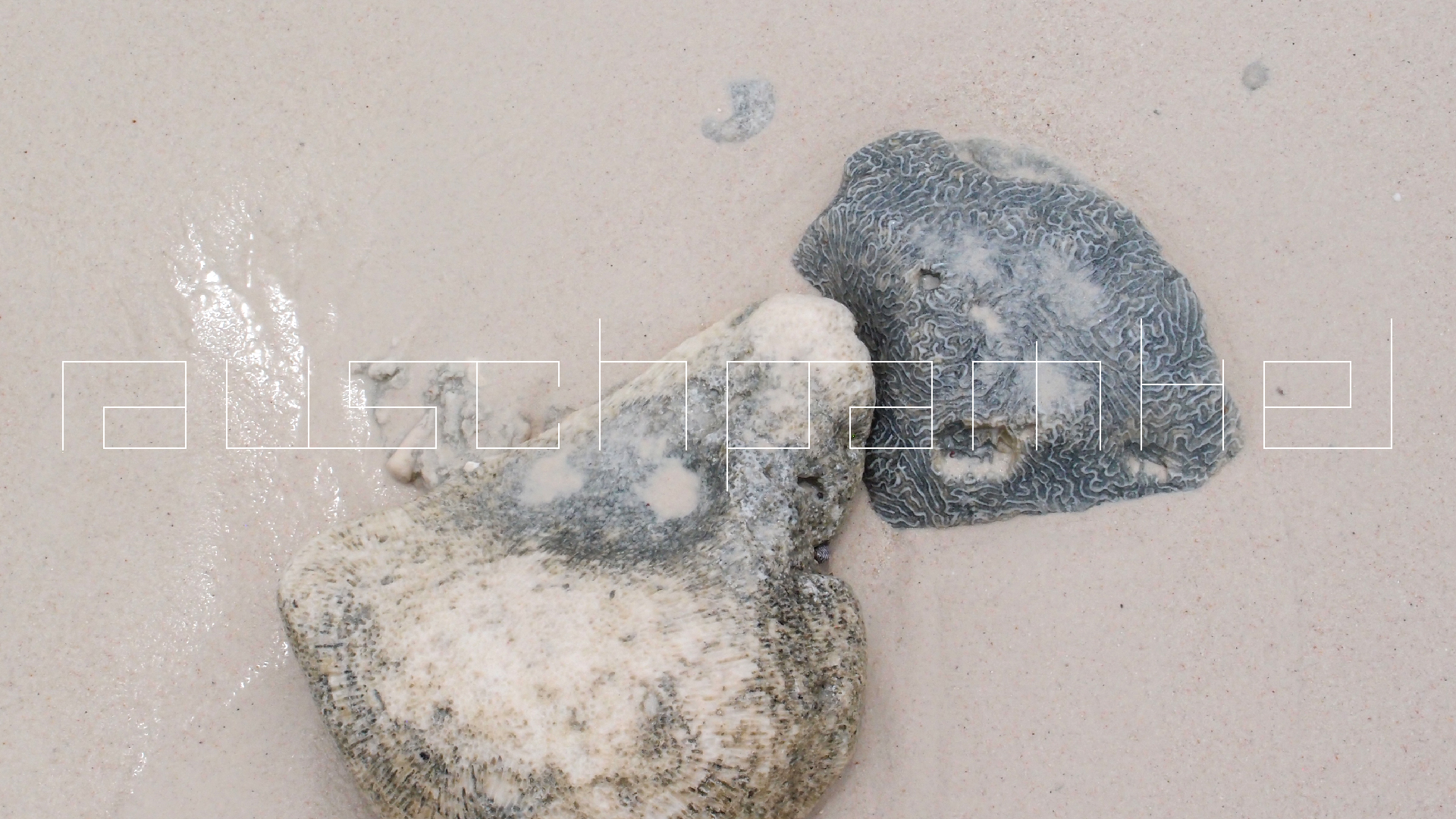 2022-04-25 Cas Abao (Foto)