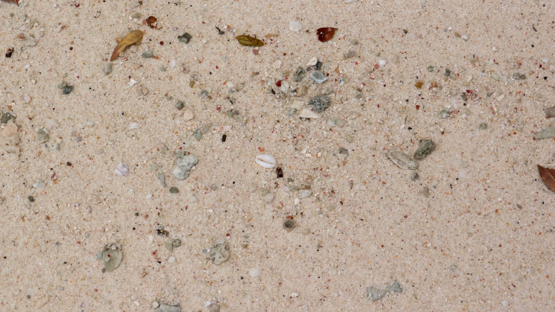 2022-04-25 Cas Abao (Foto)