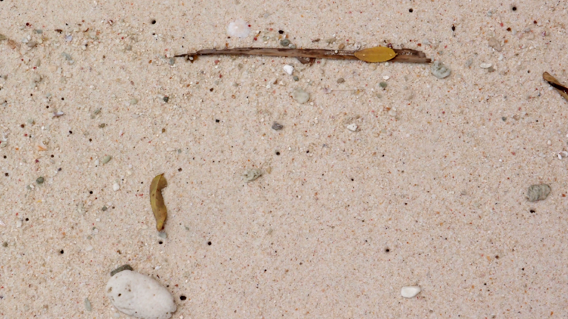 2022-04-25 Cas Abao (Foto)