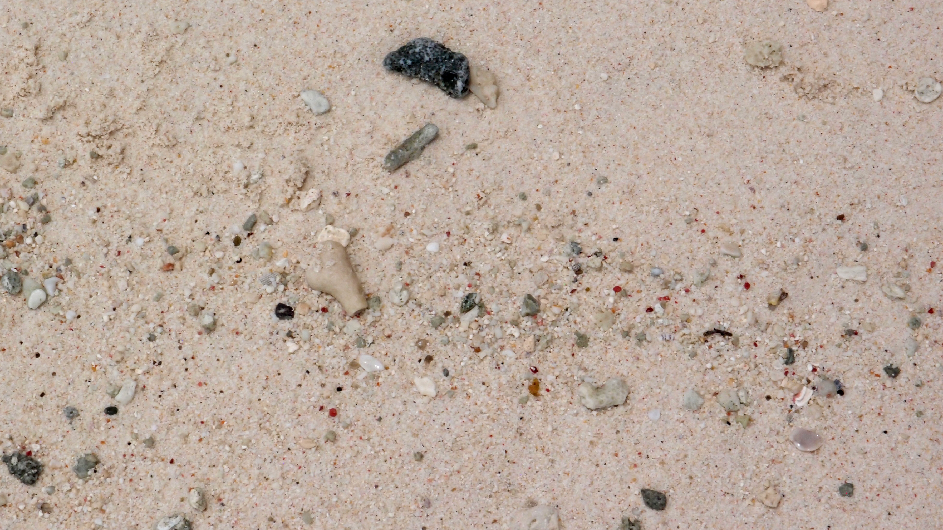 2022-04-25 Cas Abao (Foto)