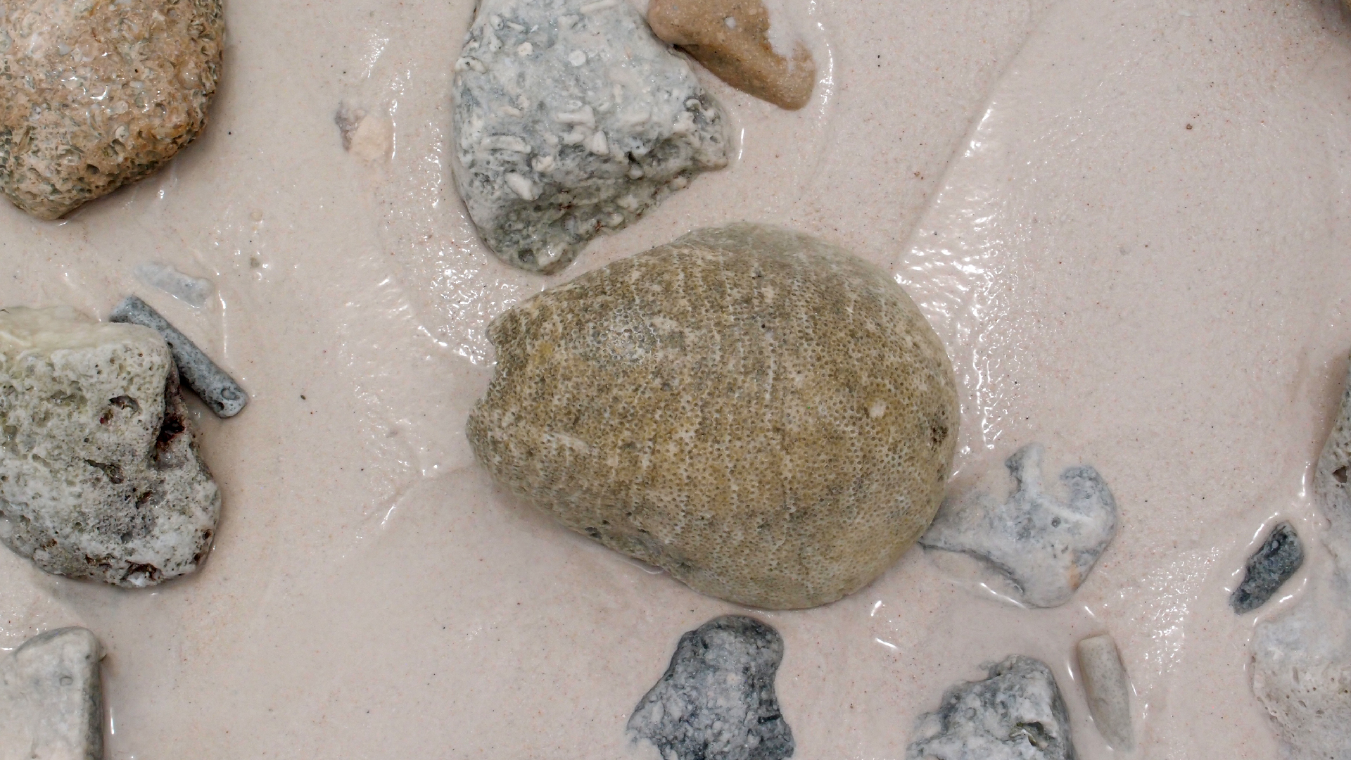 2022-04-25 Cas Abao (Foto)