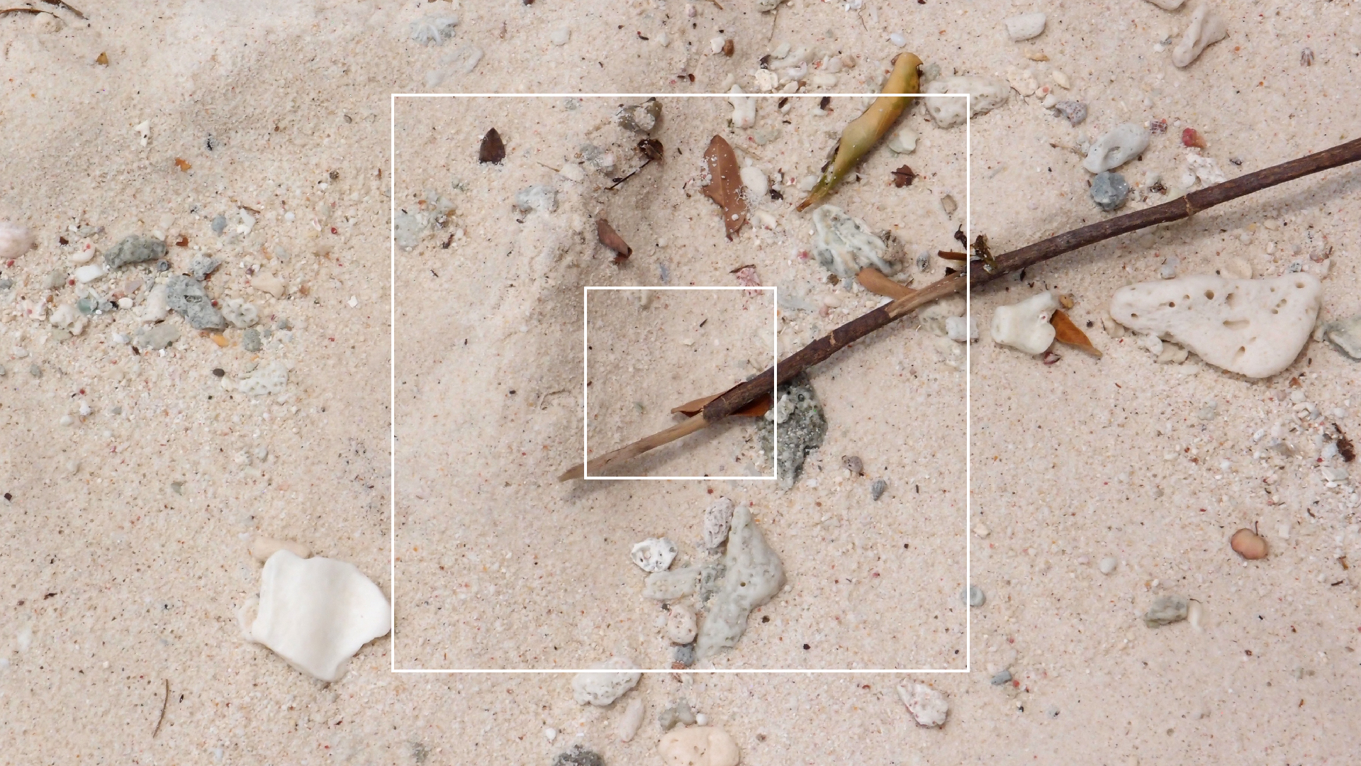 2022-04-25 Cas Abao (Foto)