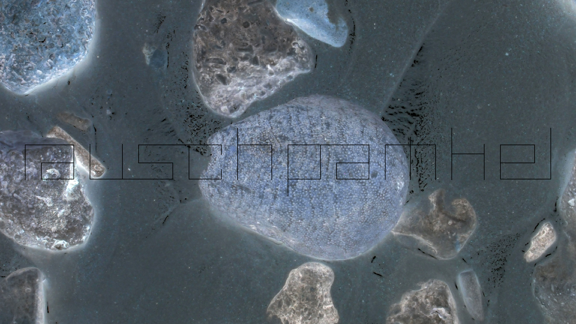 2022-04-25 Cas Abao (Foto)