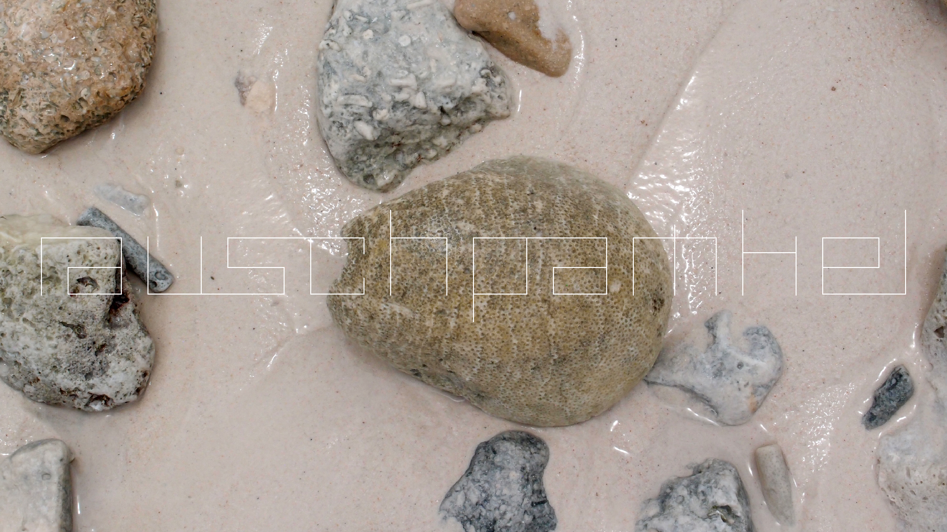 2022-04-25 Cas Abao (Foto)