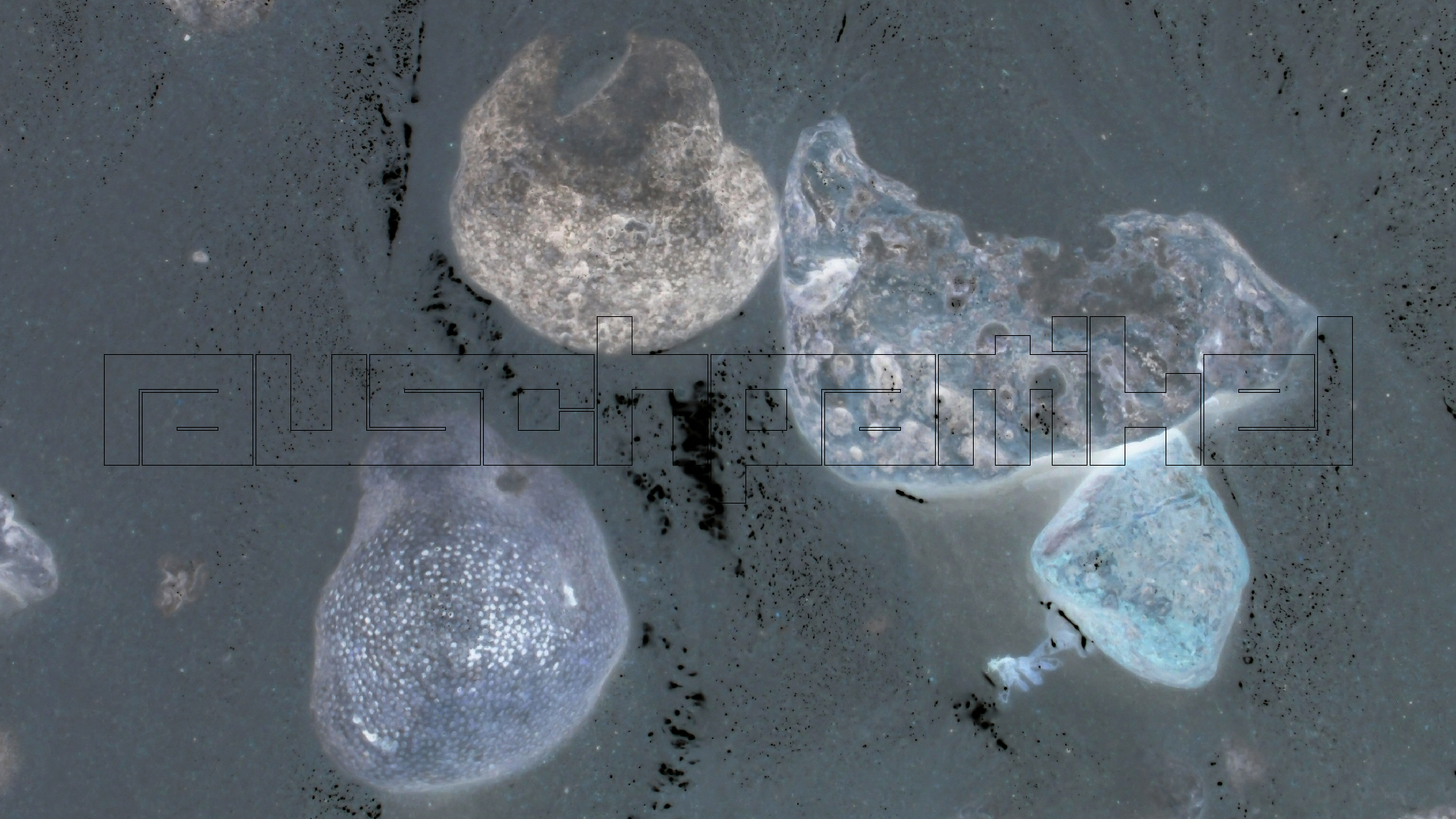 2022-04-25 Cas Abao (Foto)