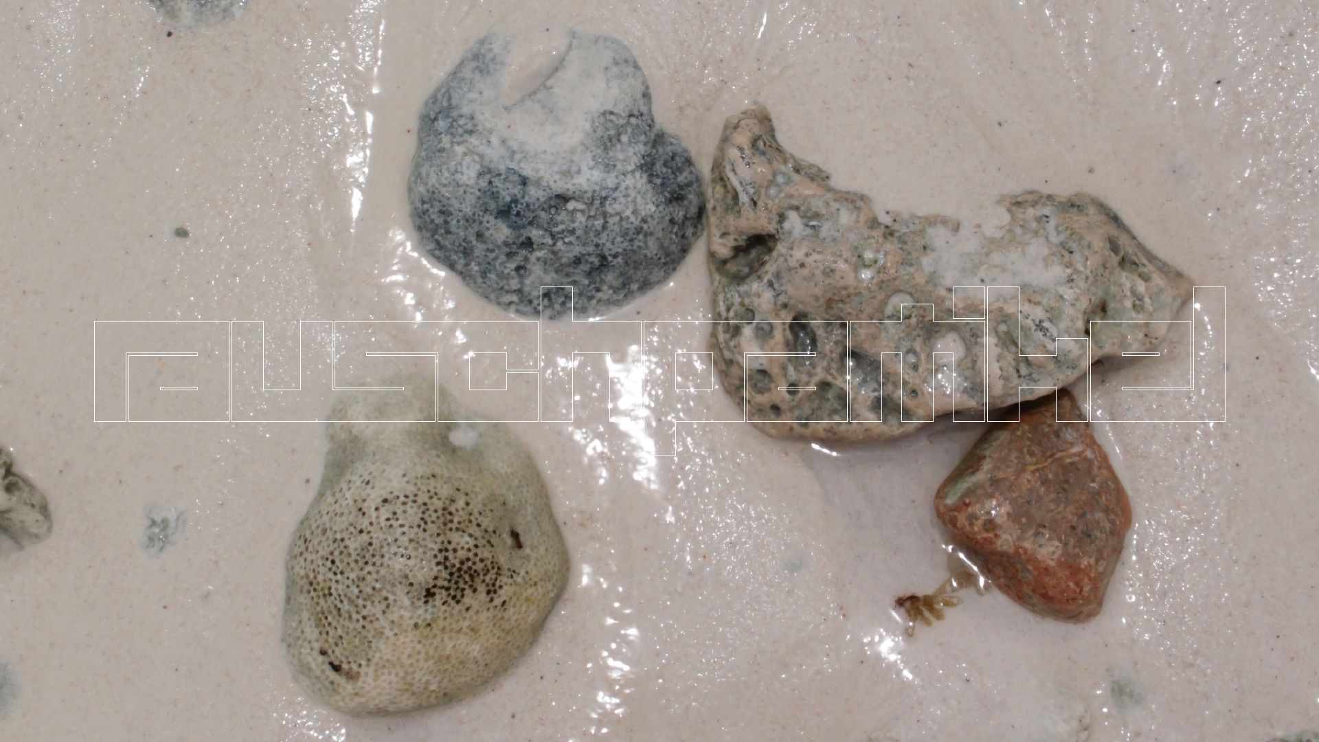 2022-04-25 Cas Abao (Foto)