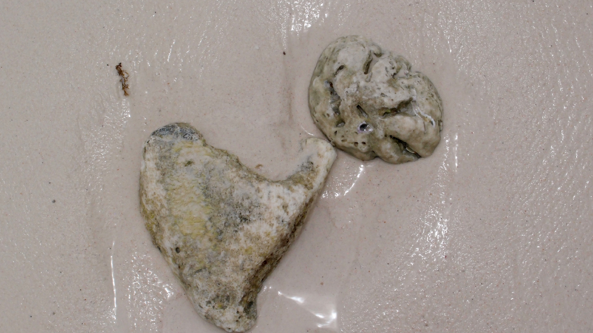 2022-04-25 Cas Abao (Foto)