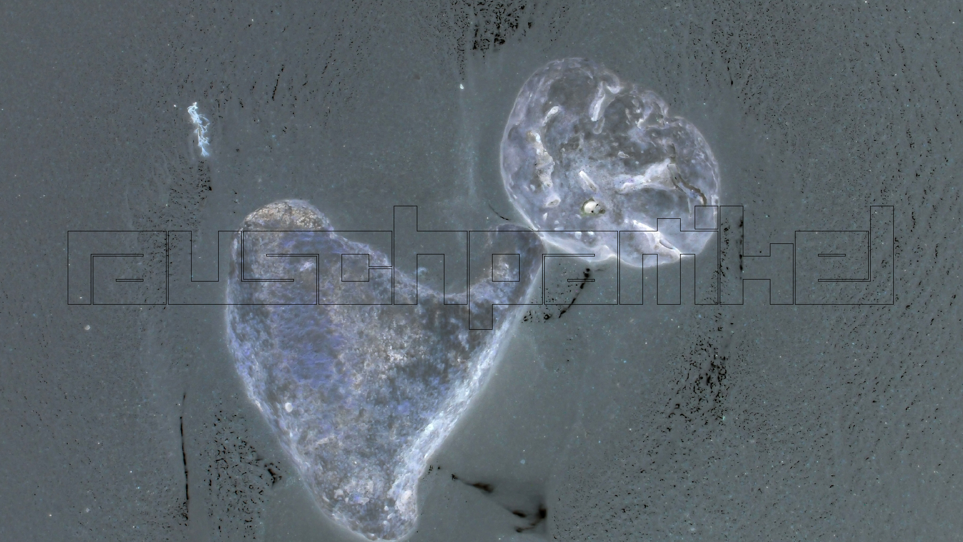 2022-04-25 Cas Abao (Foto)