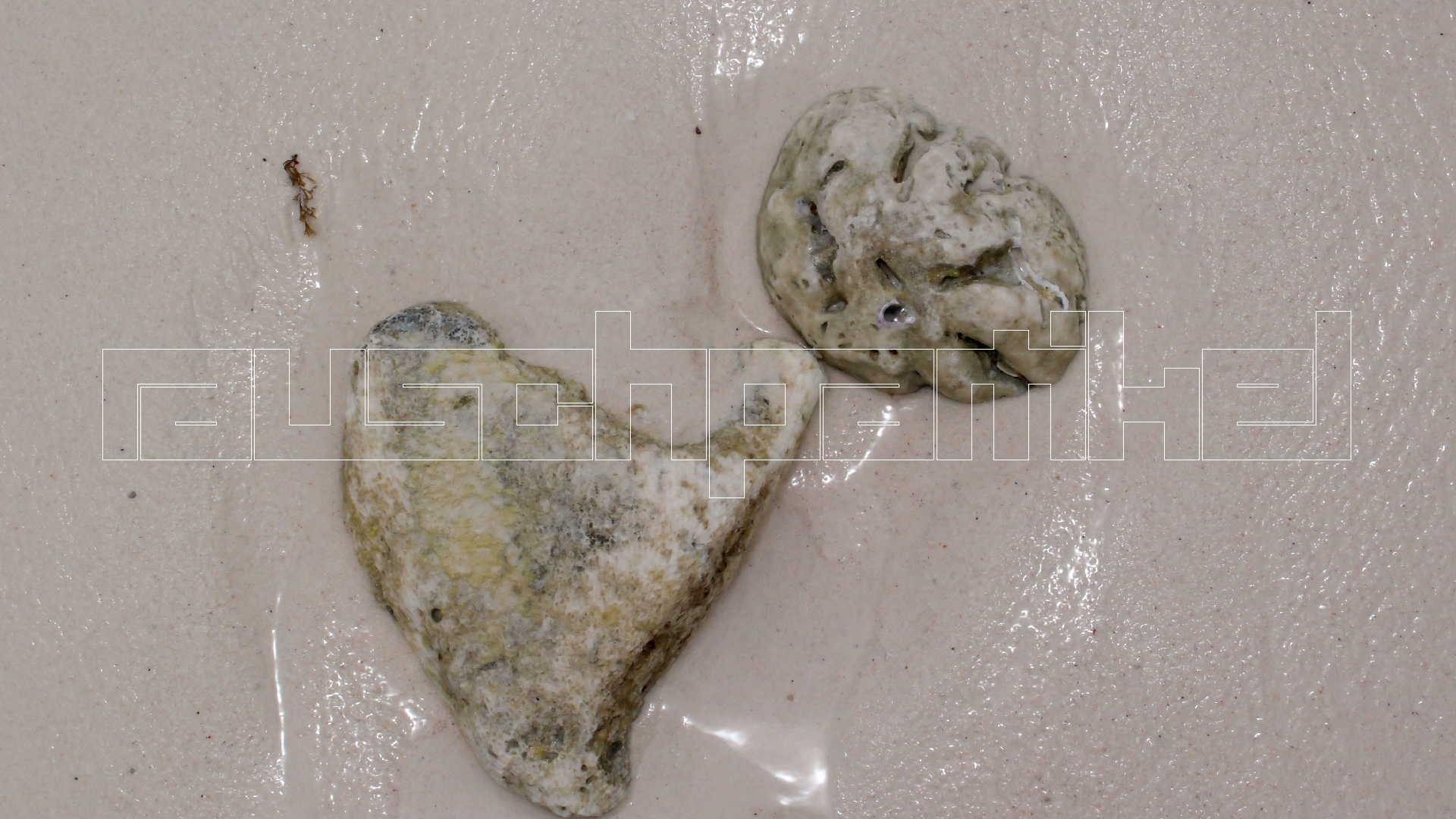 2022-04-25 Cas Abao (Foto)