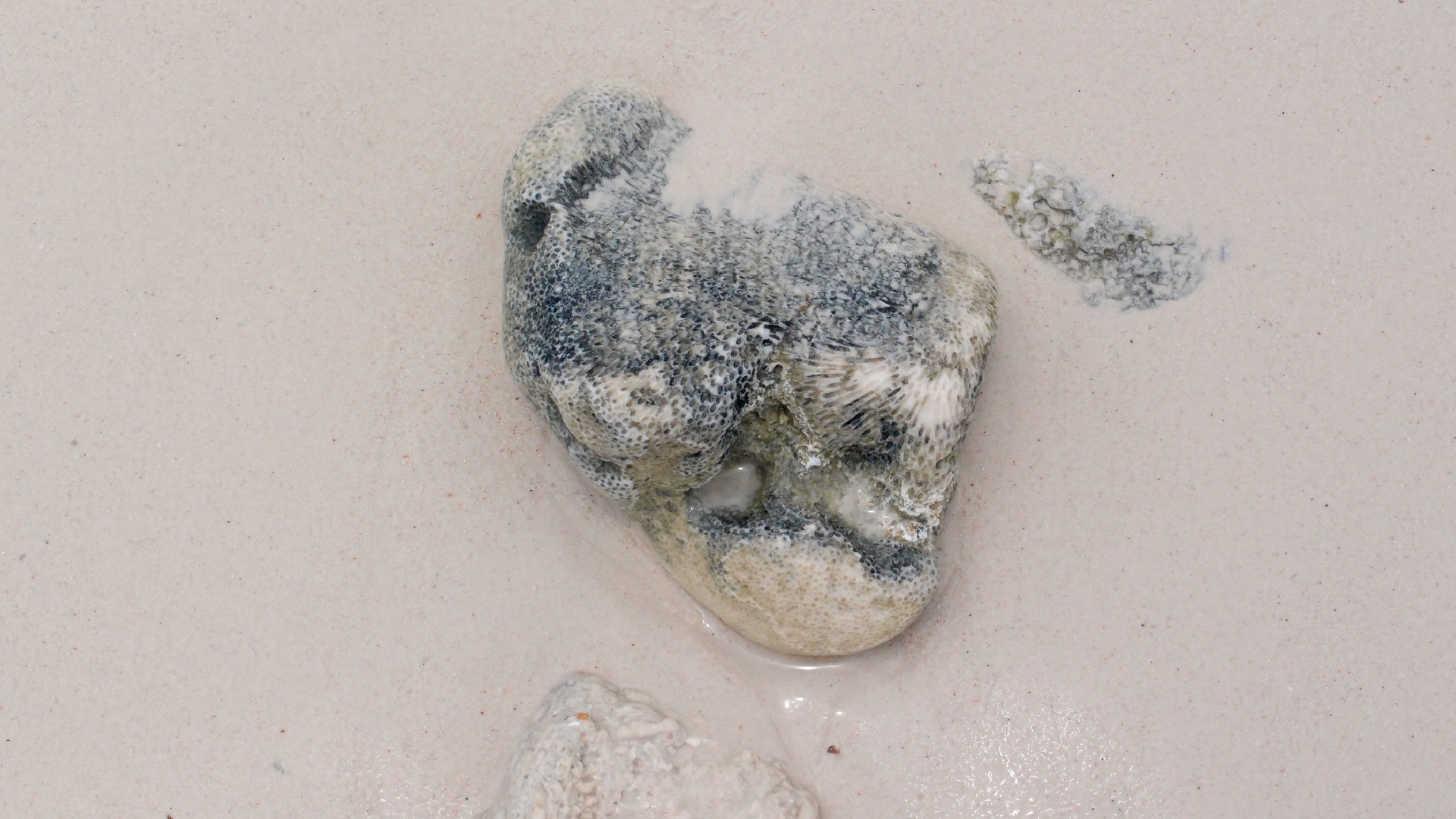 2022-04-25 Cas Abao (Foto)