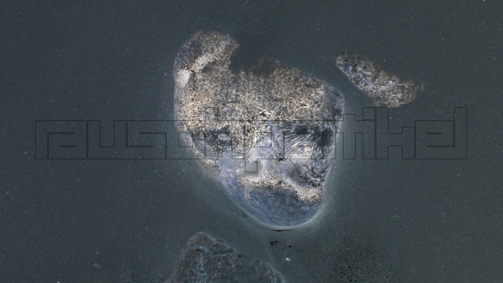 2022-04-25 Cas Abao (Foto)