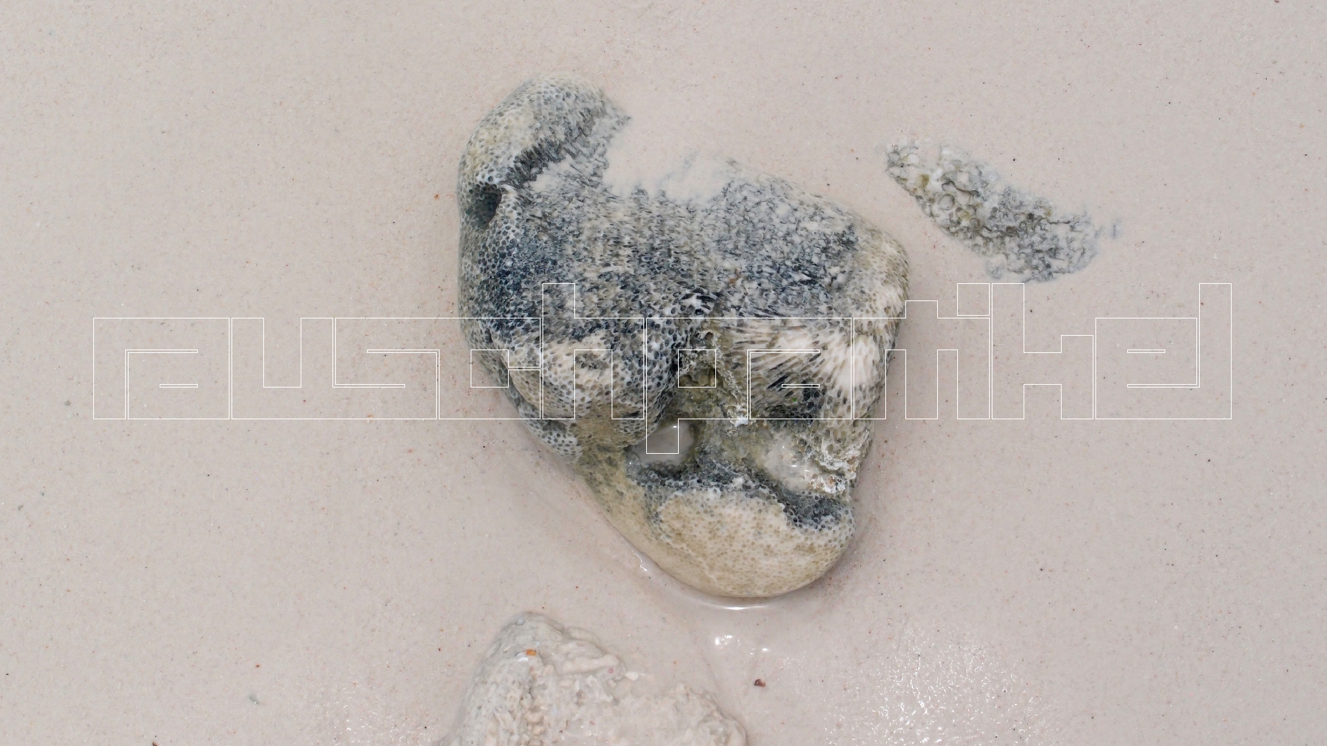 2022-04-25 Cas Abao (Foto)