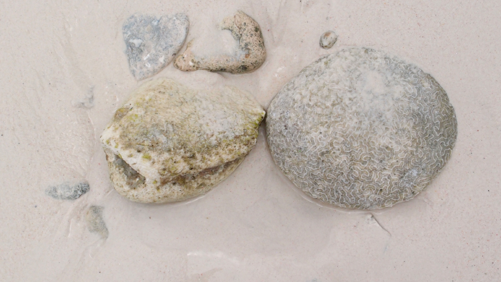 2022-04-25 Cas Abao (Foto)