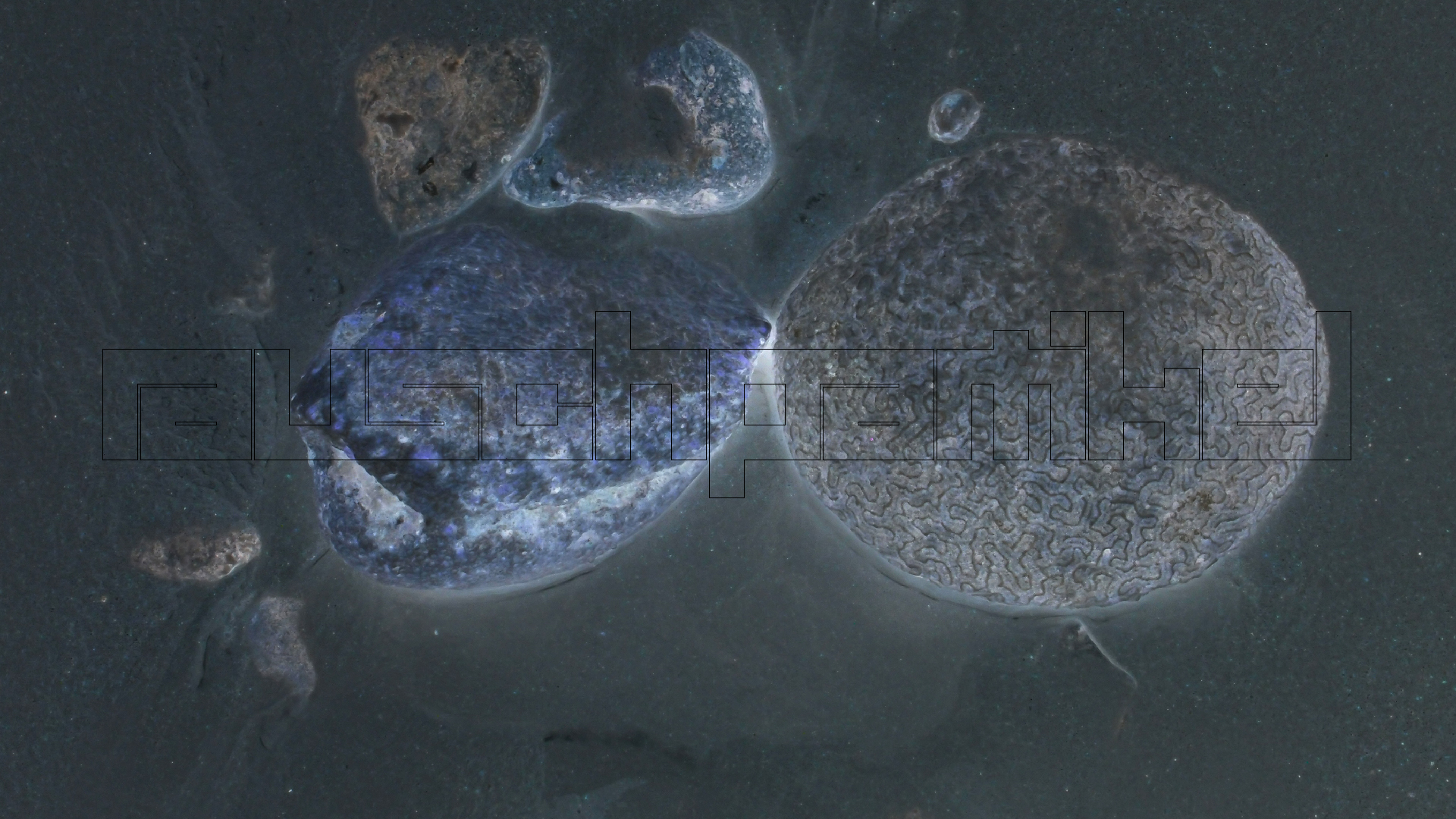 2022-04-25 Cas Abao (Foto)