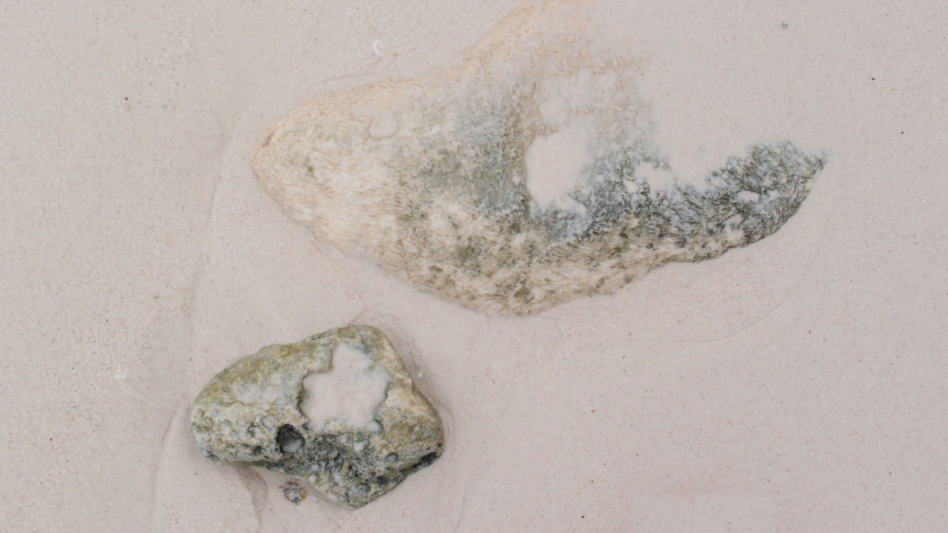 2022-04-25 Cas Abao (Foto)