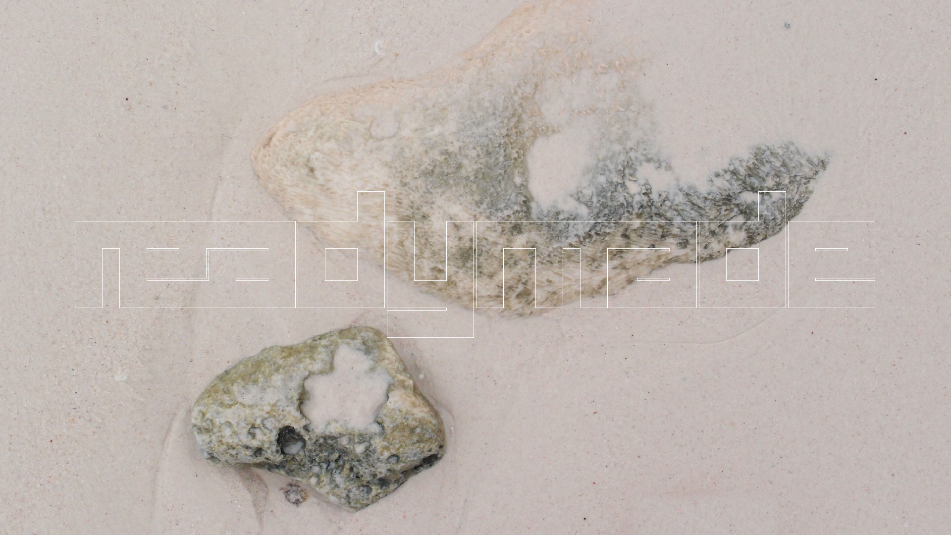 2022-04-25 Cas Abao (Foto)