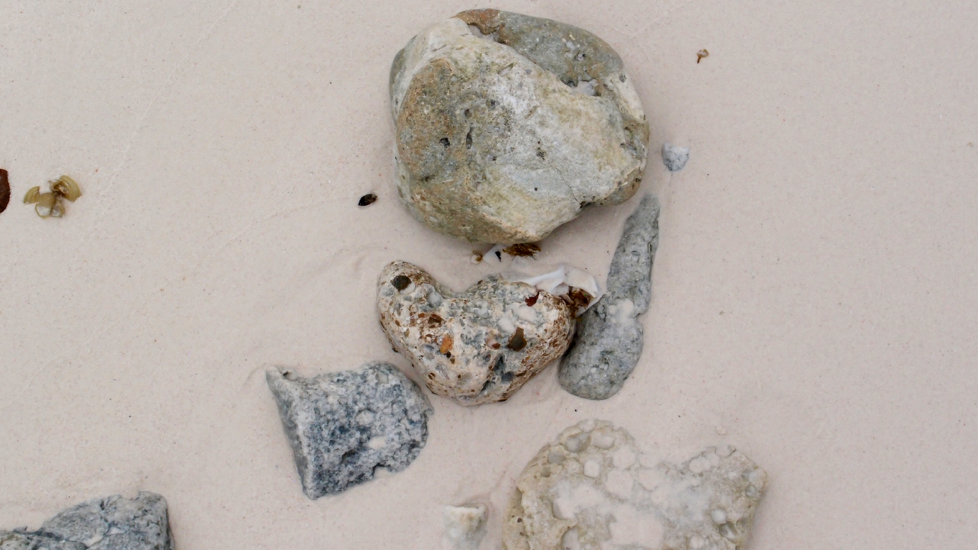 2022-04-25 Cas Abao (Foto)