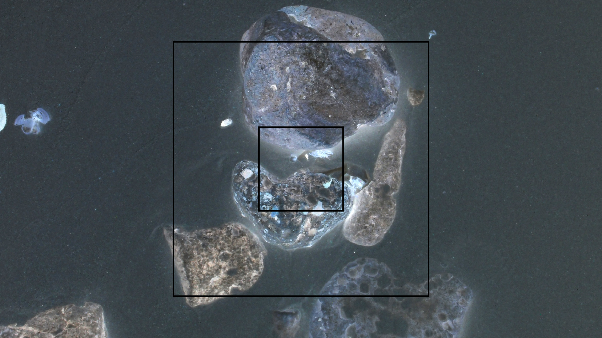 2022-04-25 Cas Abao (Foto)