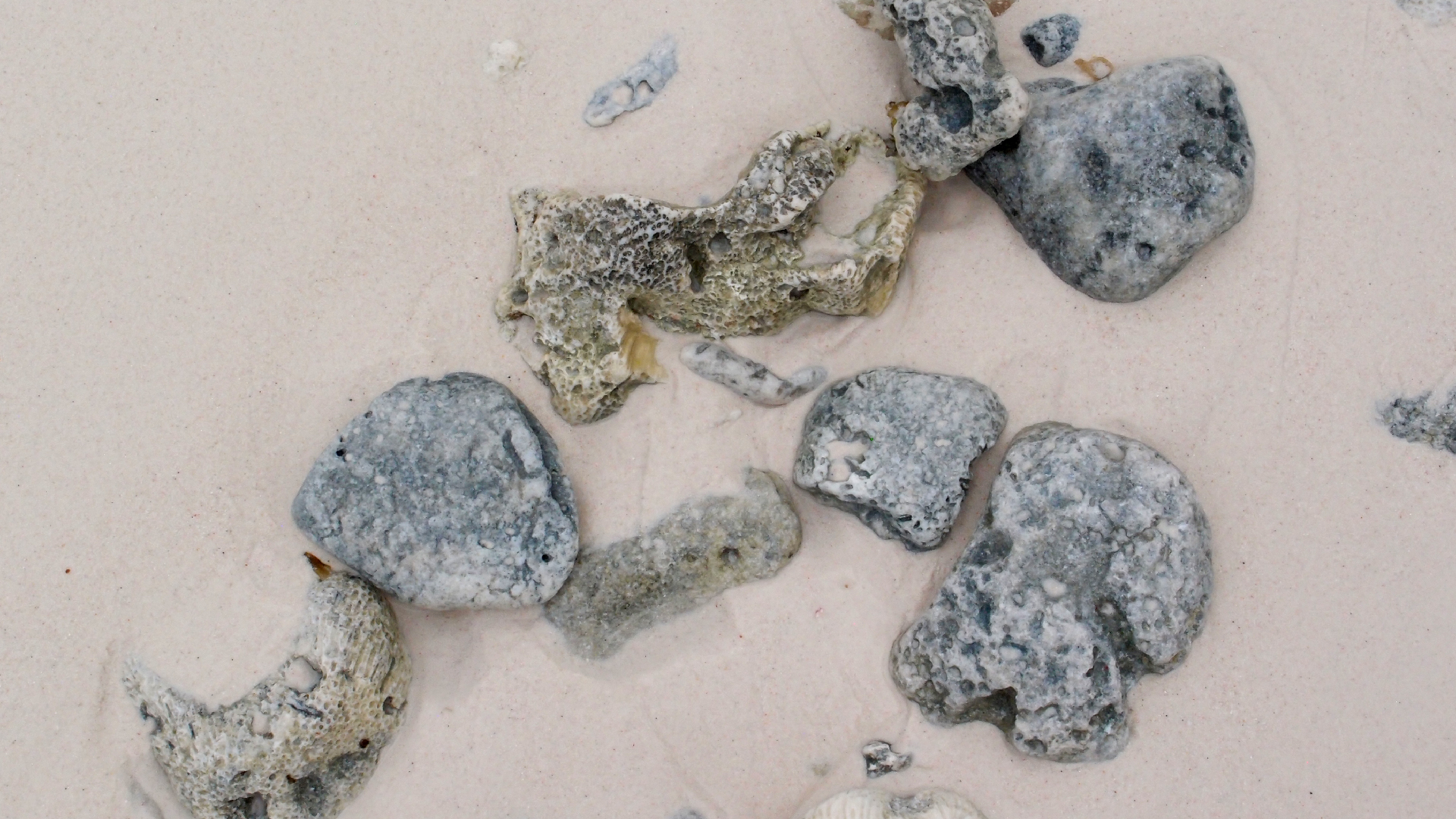 2022-04-25 Cas Abao (Foto)