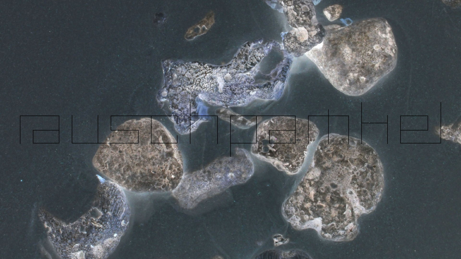 2022-04-25 Cas Abao (Foto)