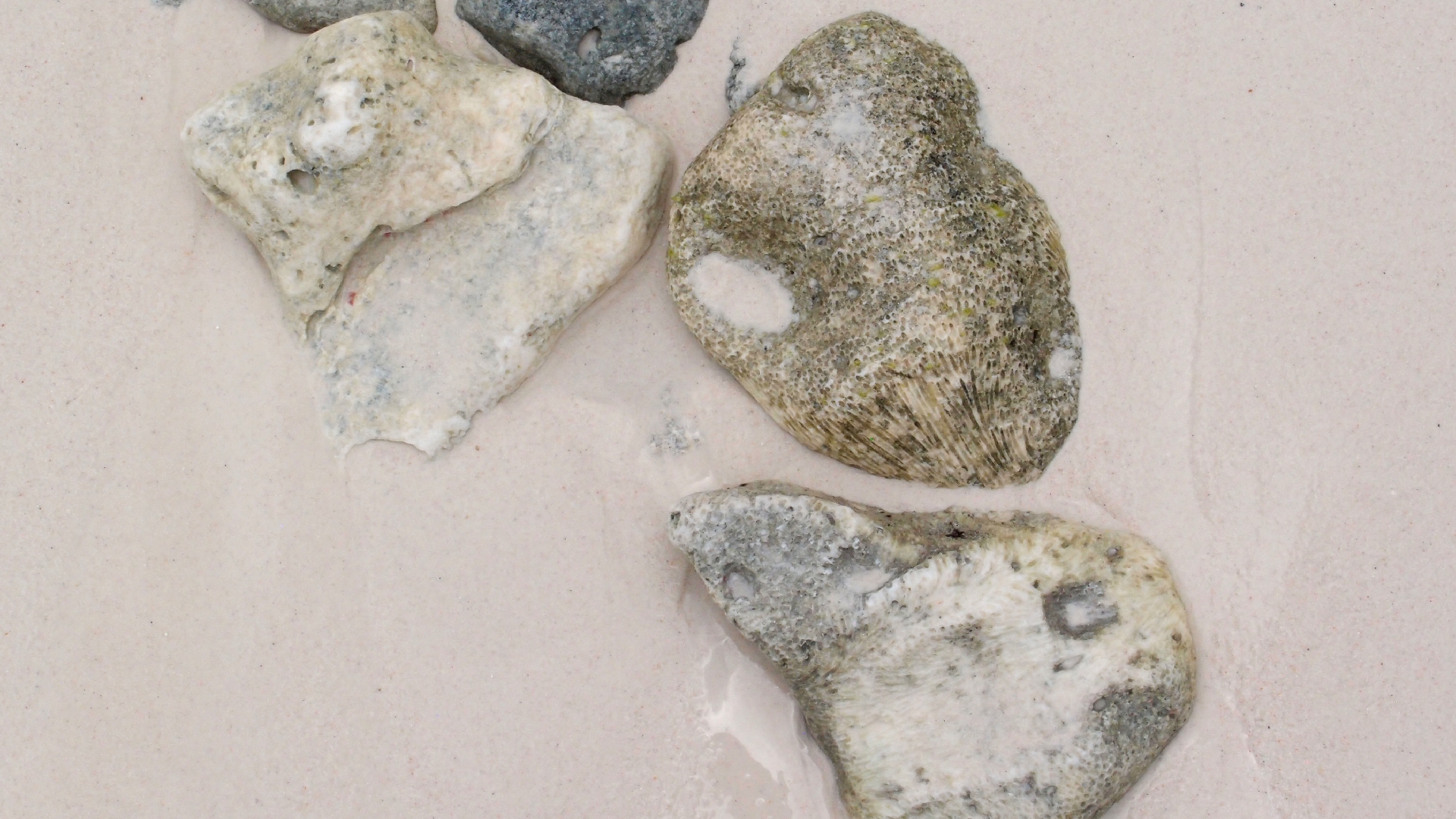 2022-04-25 Cas Abao (Foto)