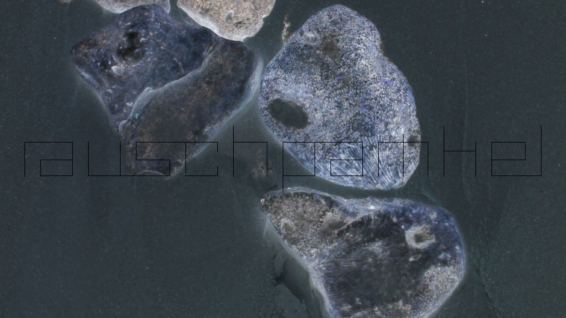 2022-04-25 Cas Abao (Foto)