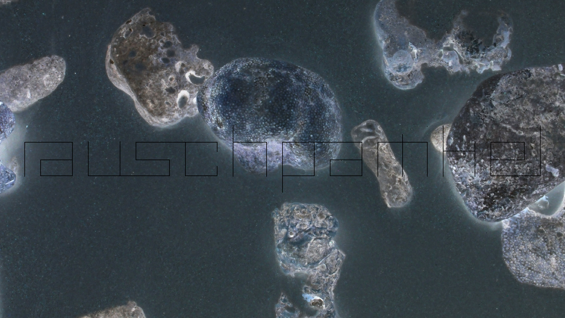 2022-04-25 Cas Abao (Foto)