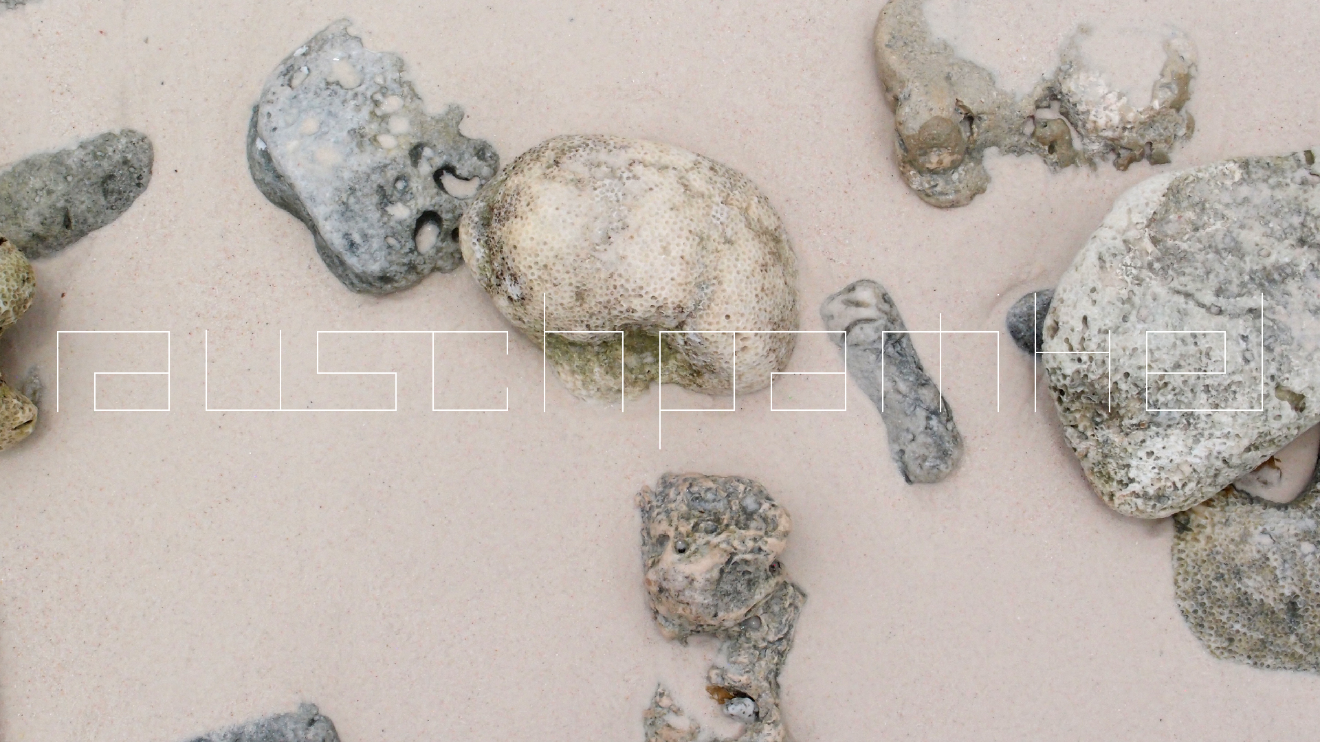 2022-04-25 Cas Abao (Foto)